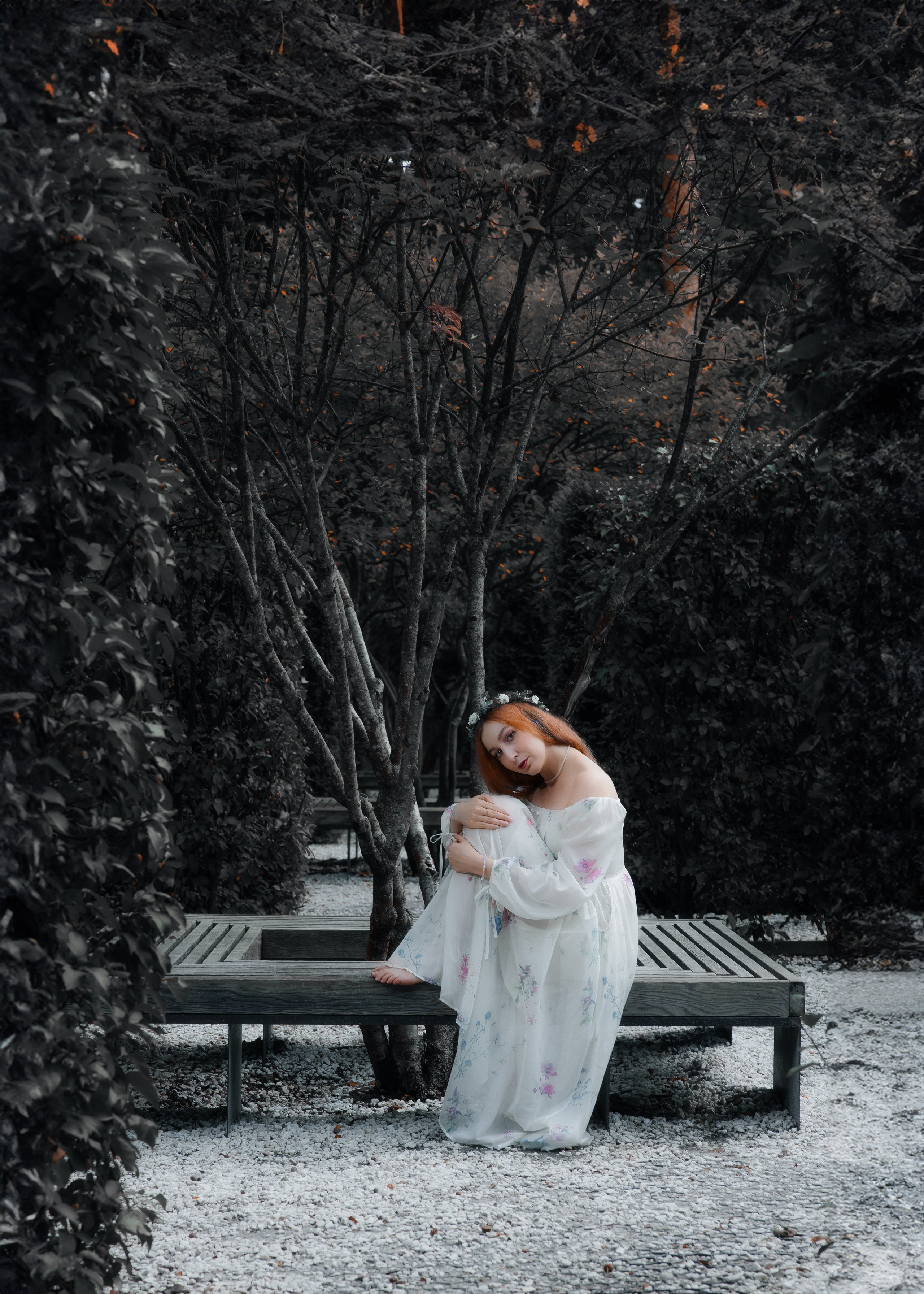 ELENA. Shamirov Arkadiy