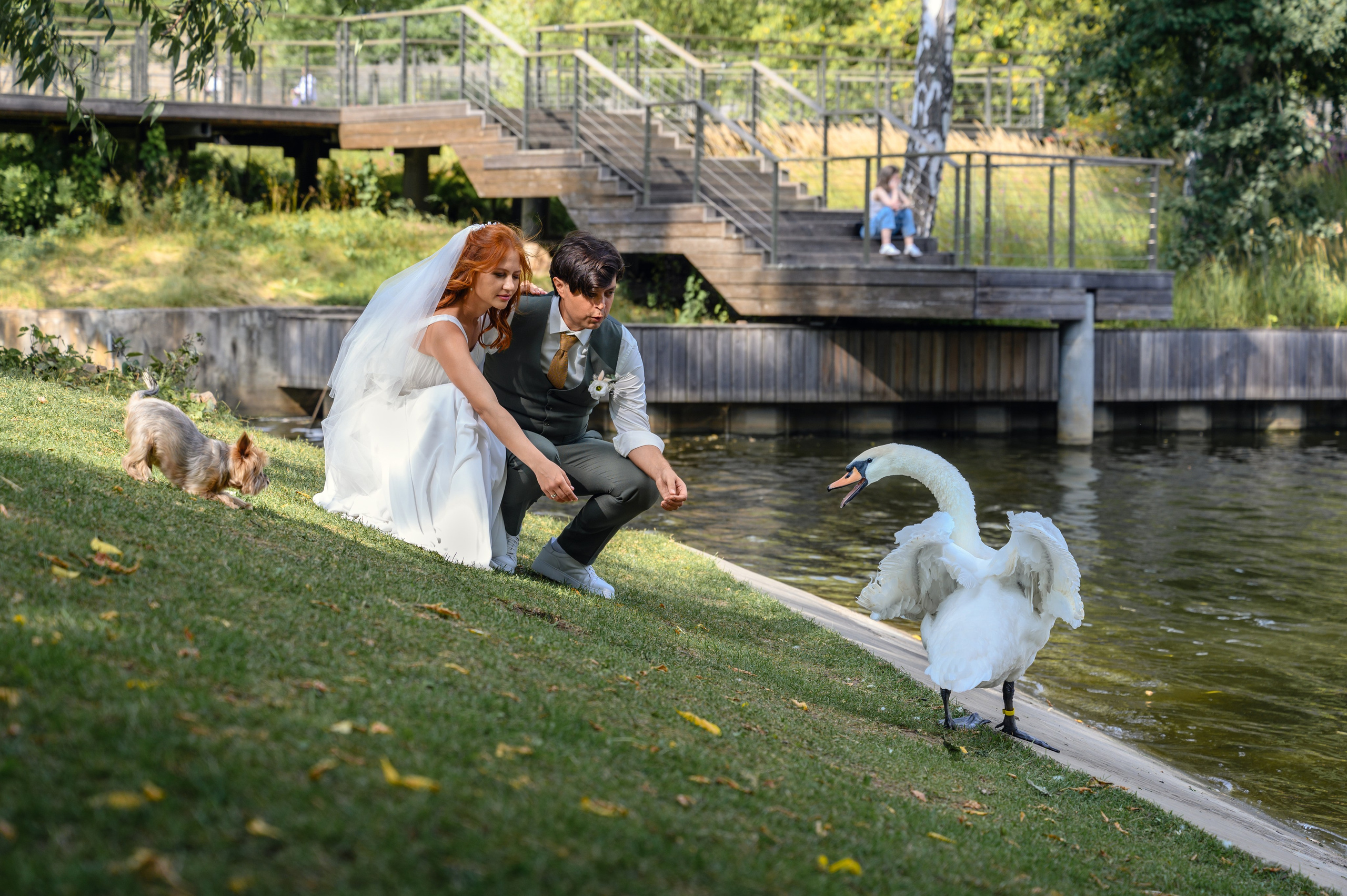 Свадьба Даши и Константина. Фотограф Светозар Андреев