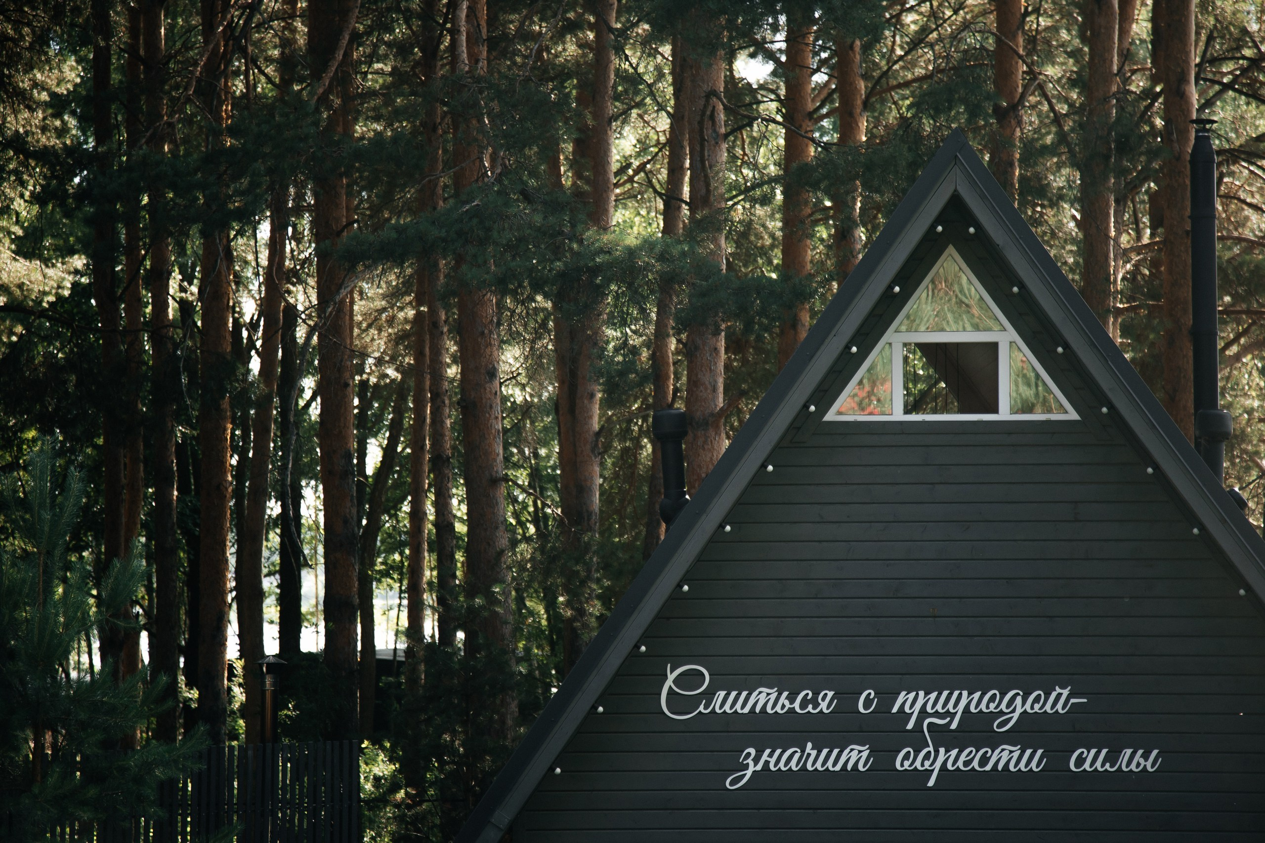 Это любовь. Свадебный и семейный фотограф