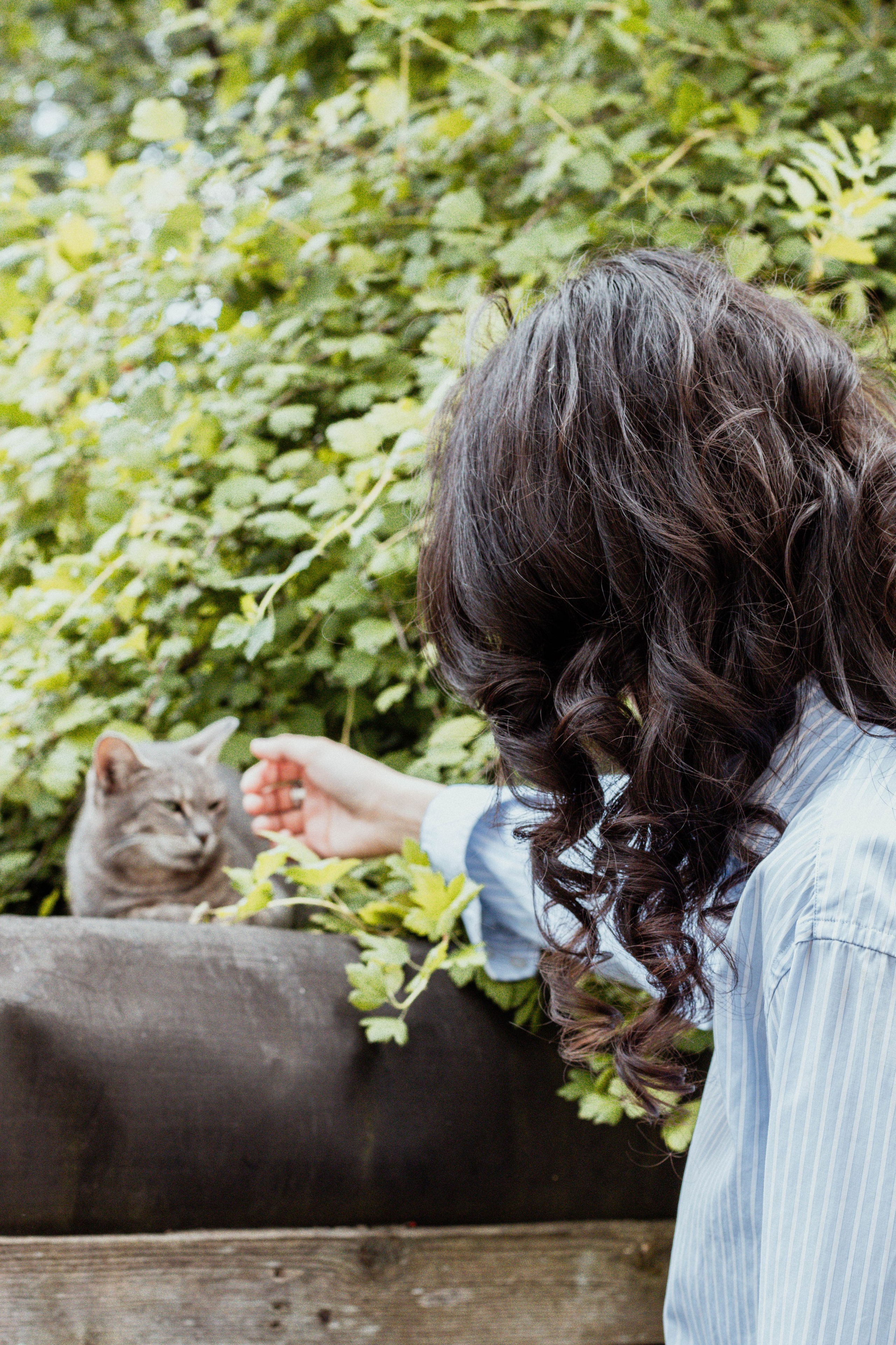 Солнце внутри