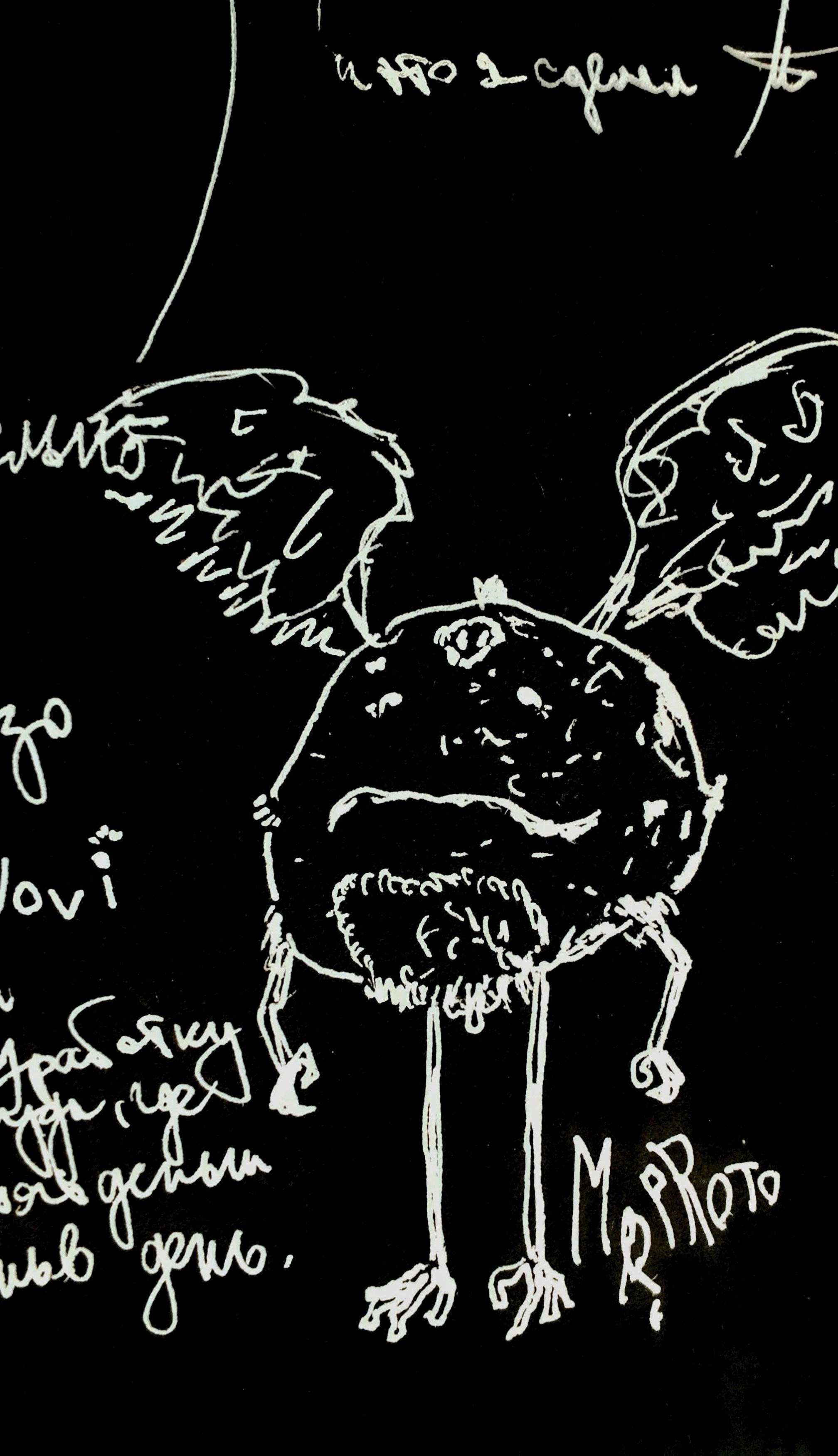 Storyboards & concepts