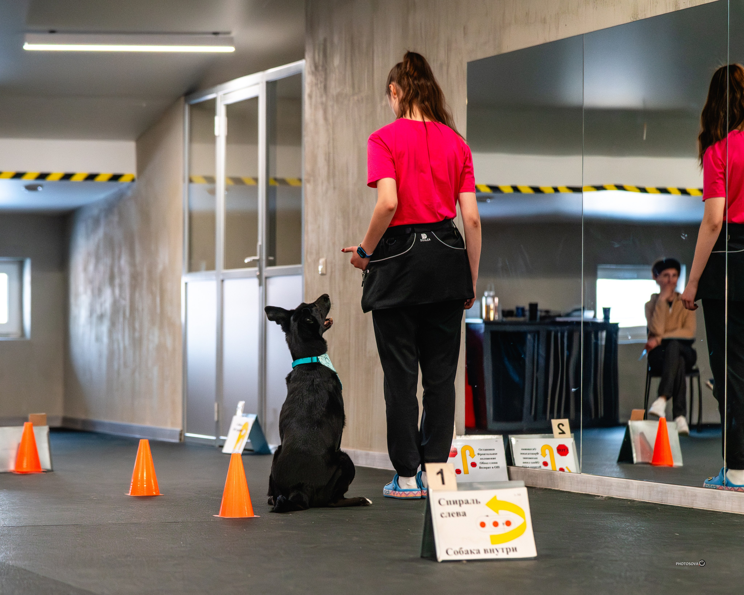 ТЫ И Я (соревнования по ралли-обидиенс). Фотограф-анималист, семейный фотограф в Москве и Подмосковье. Фотосъёмка кинологических дисциплин