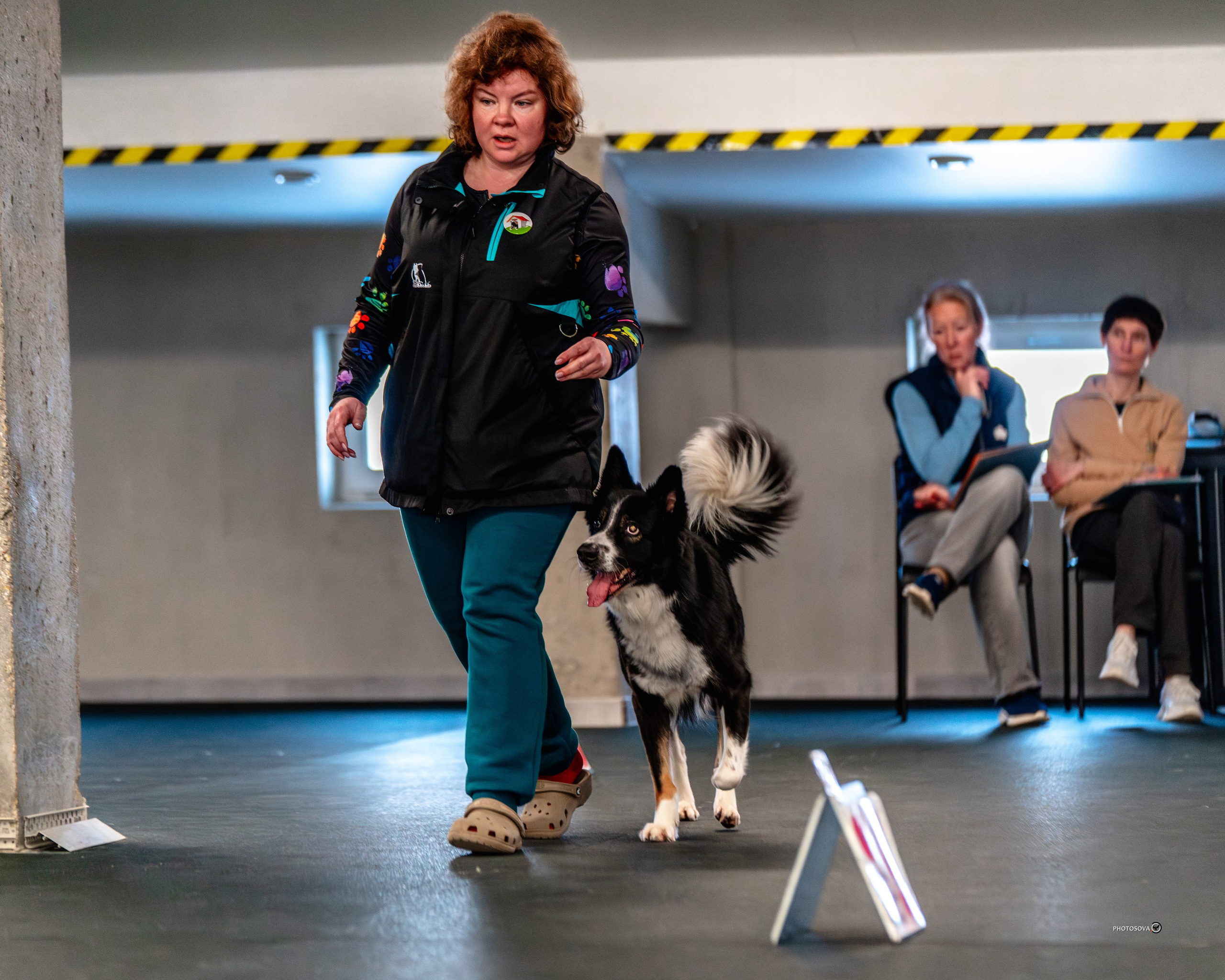 ТЫ И Я (соревнования по ралли-обидиенс). Фотограф-анималист, семейный фотограф в Москве и Подмосковье. Фотосъёмка кинологических дисциплин