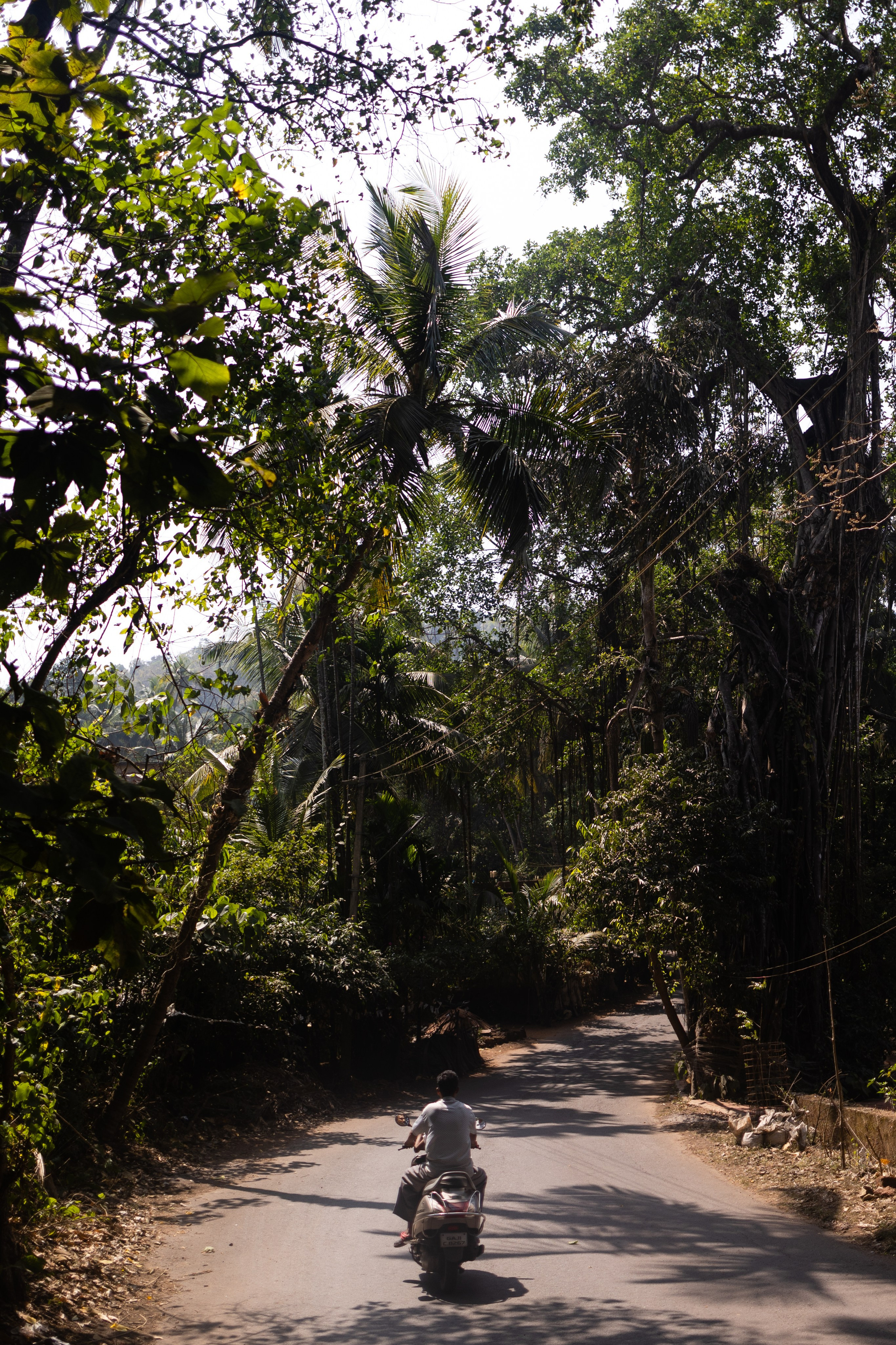 ГОА 2024. Руслан Плахтеев