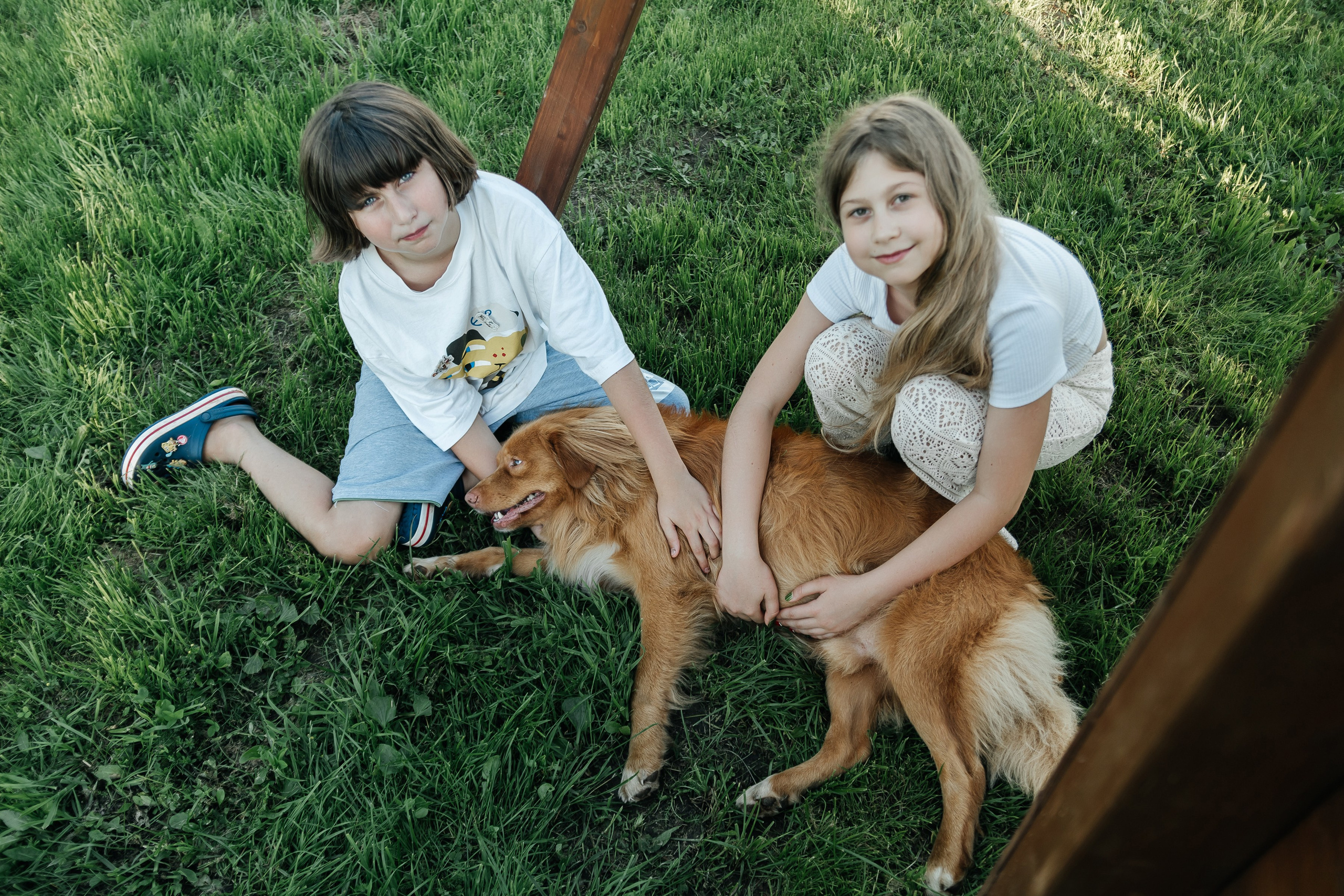 Лес и Луга. Семейный фотограф, свадебный фотограф, женский портрет в Санкт-Петербу