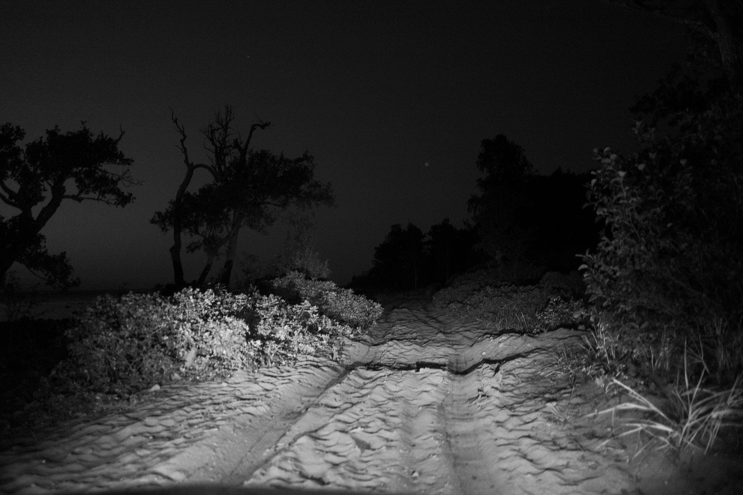 Середина нигде. Варвара Бабёнышева