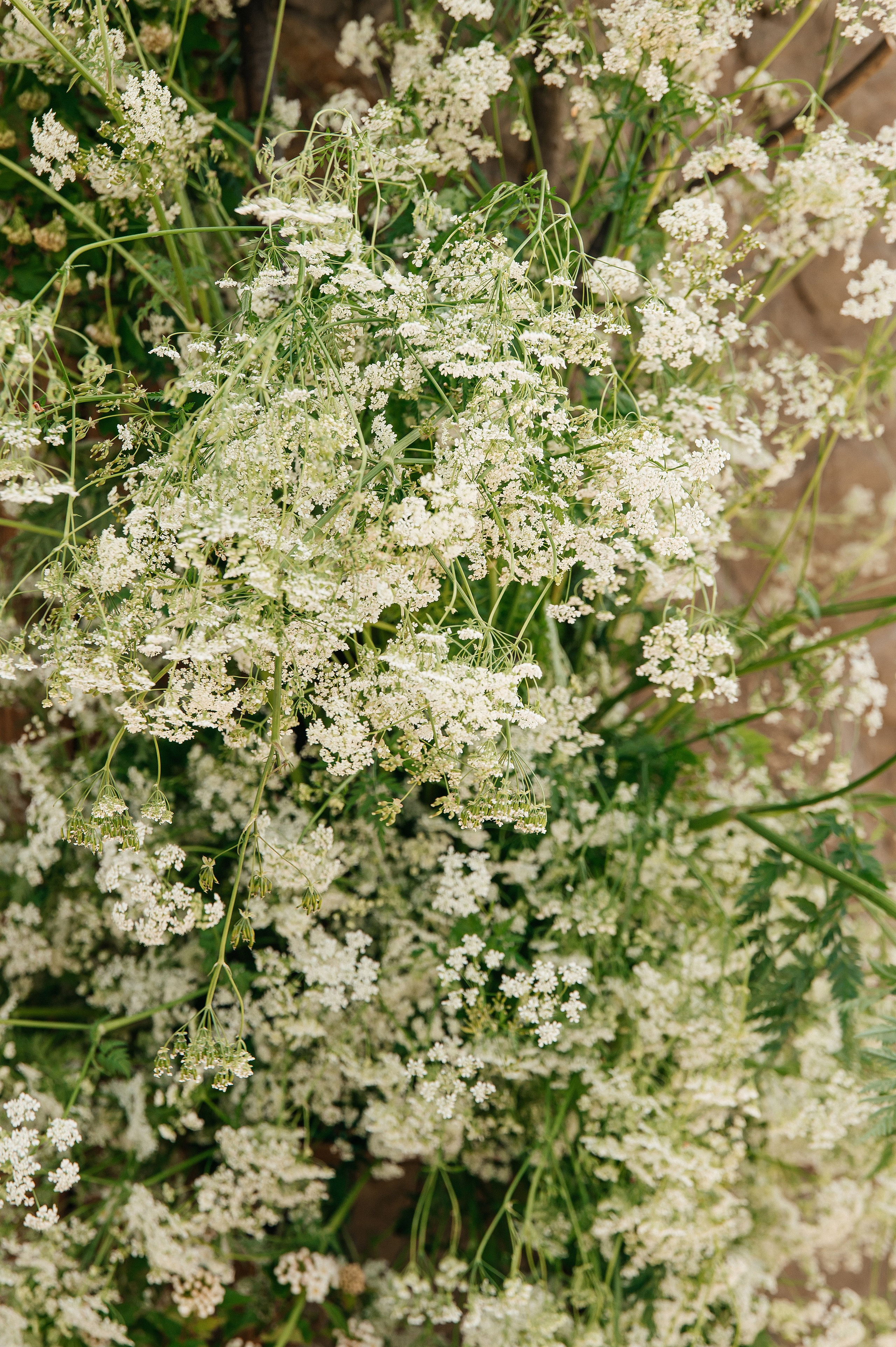 WEDDING. Мария — Свадебный фотограф