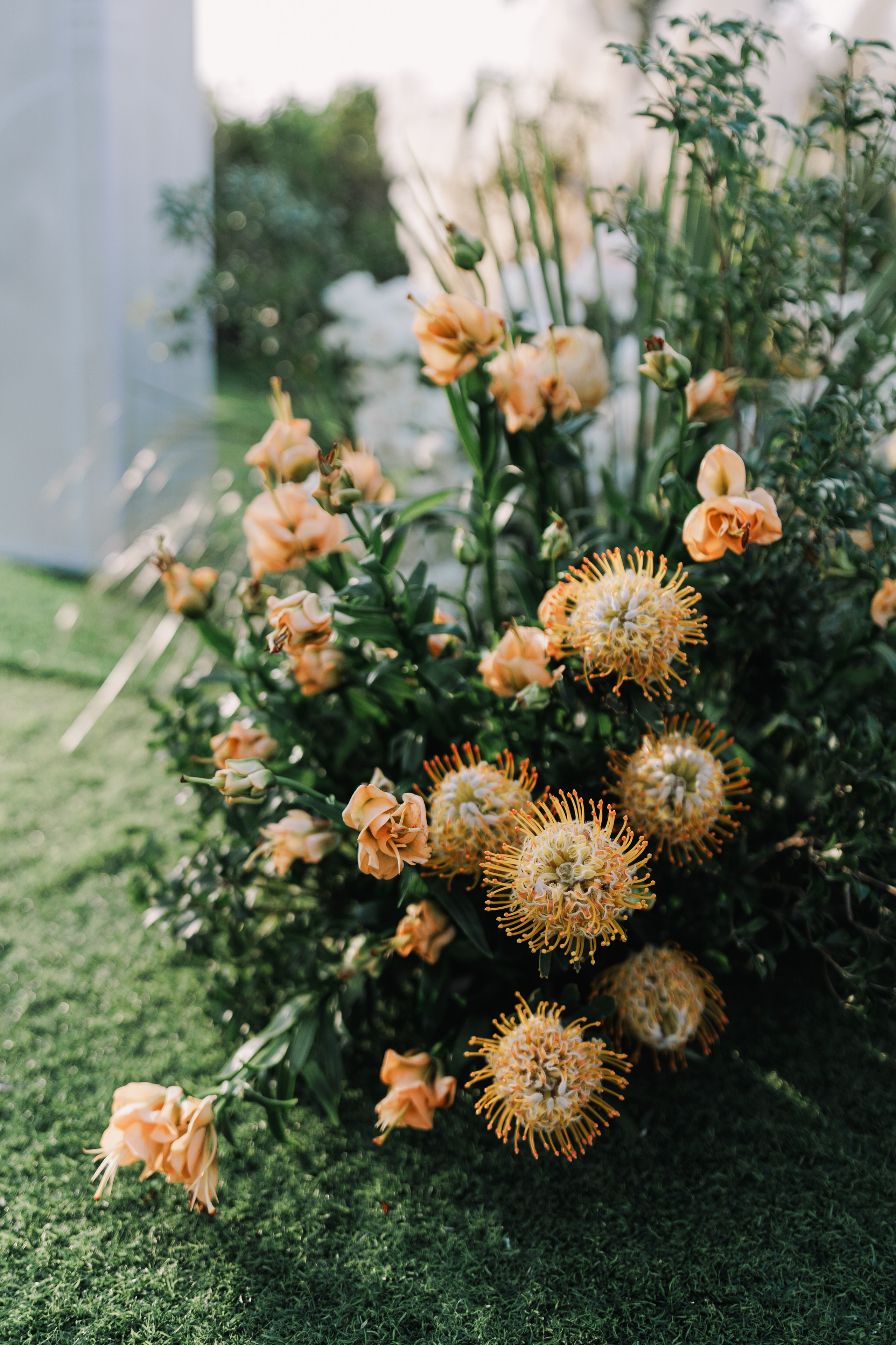 Kamilya & Anas. Свадебный и семейный фотограф в Москве