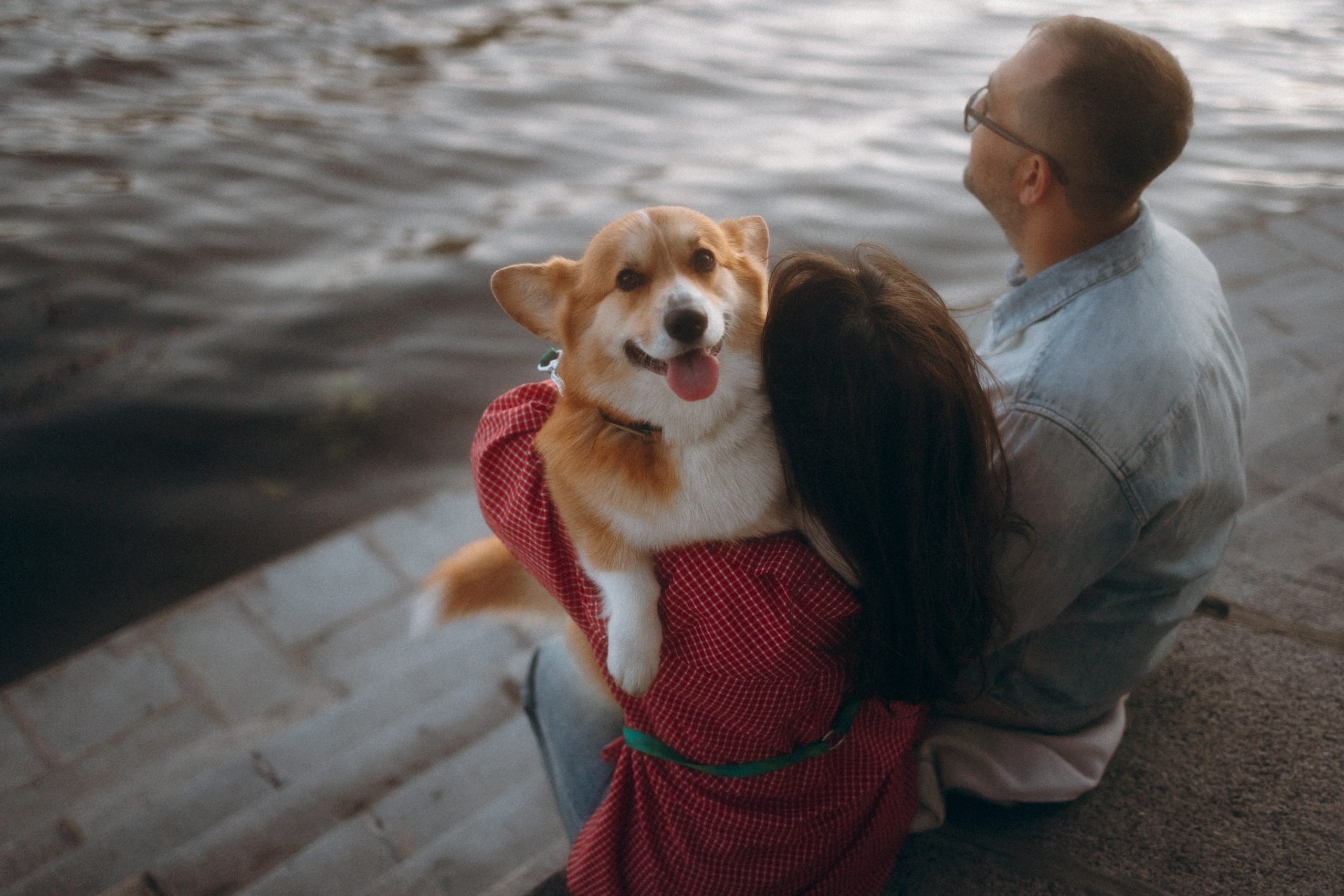 Момо, Люда и Эд. Фотограф анималист Анастасия Пикей