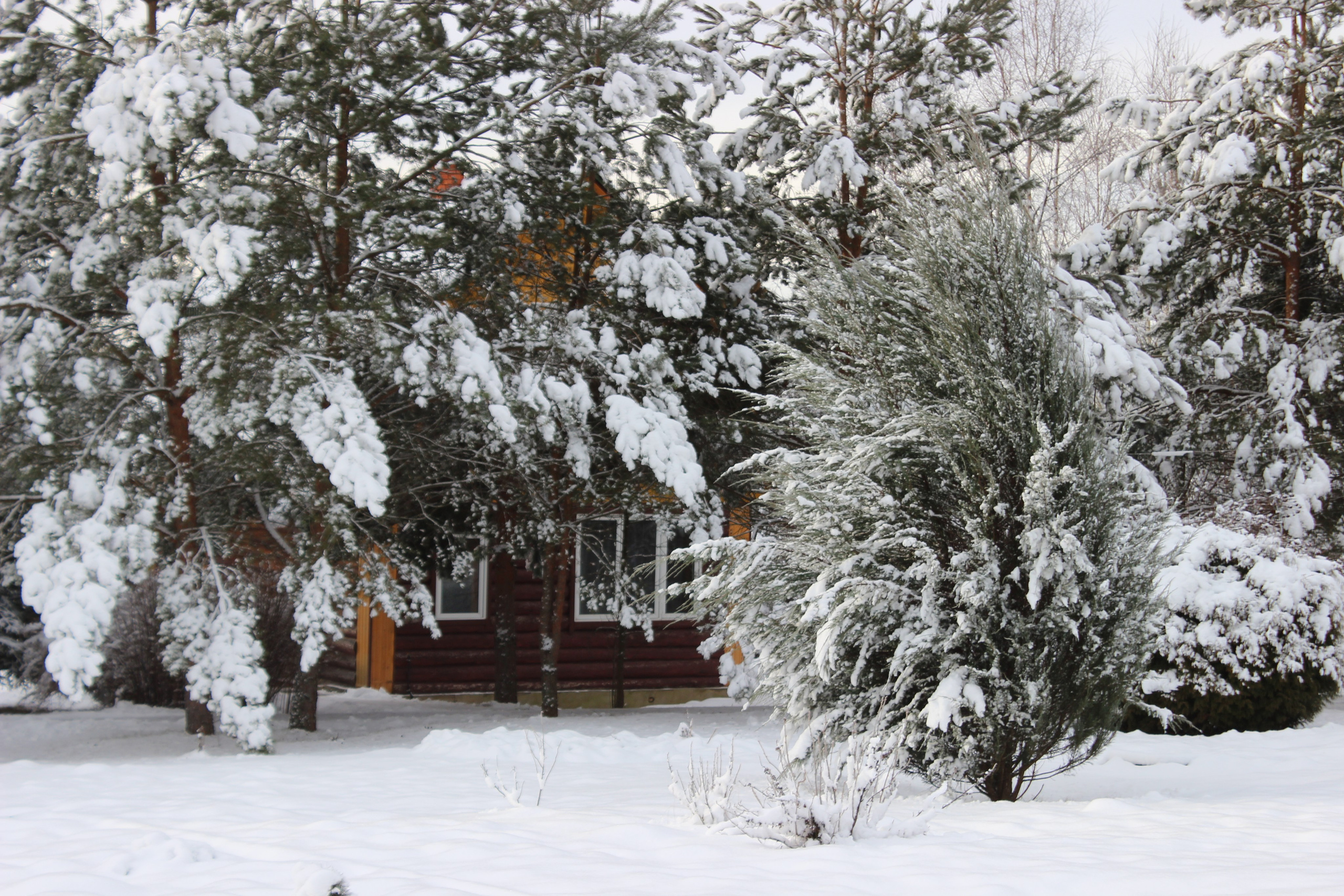 Оздоровительный комплекс Шалово-парк Серебряные ключи