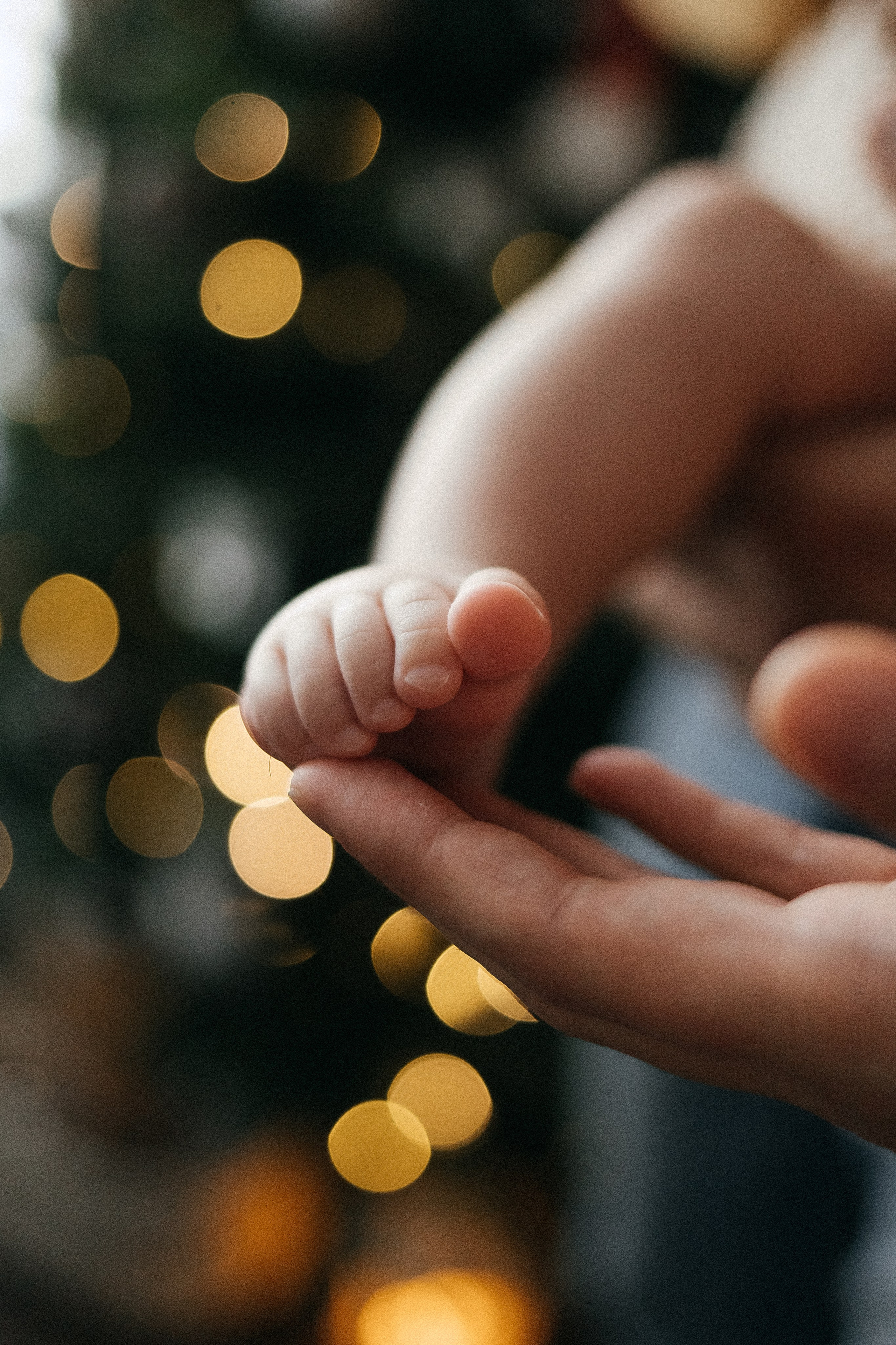 Настя, Костя и Алиса. Главная