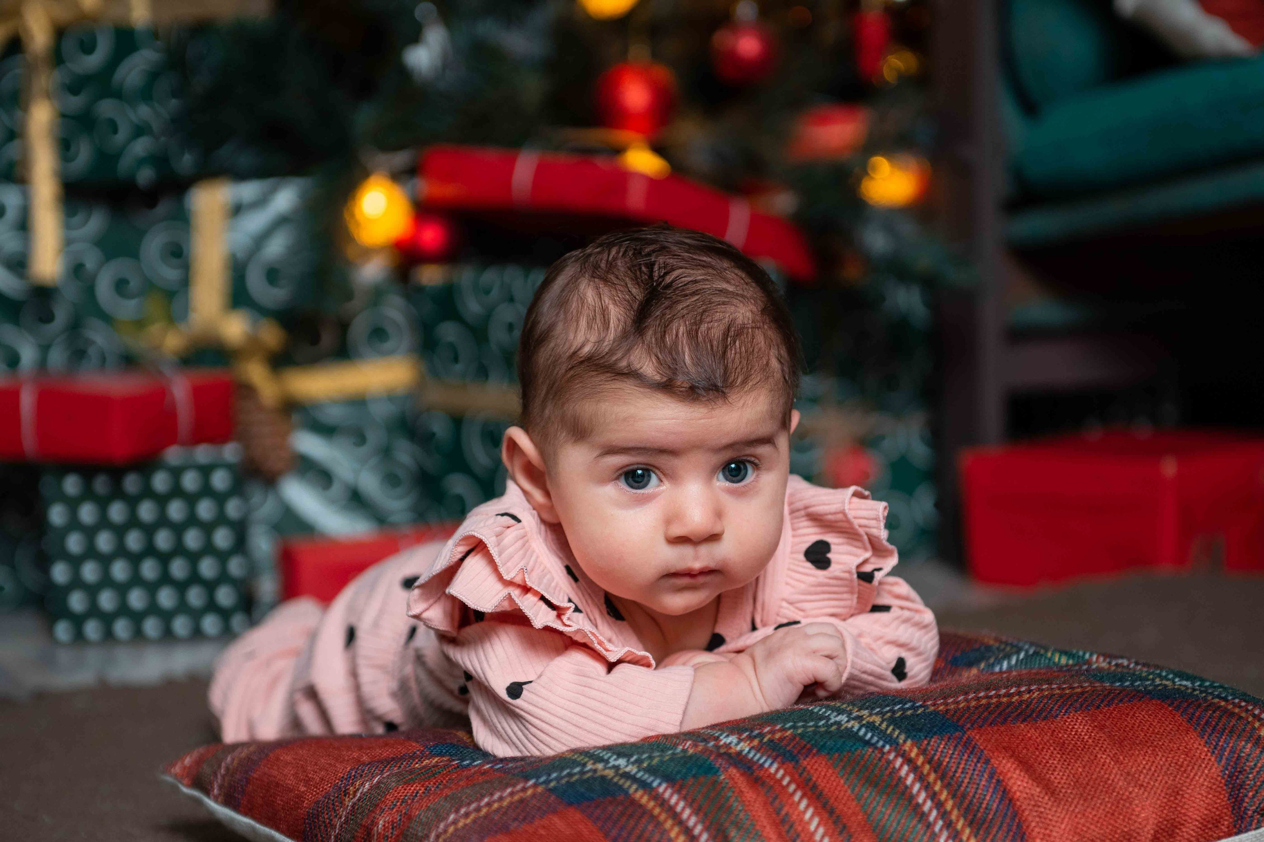 Семейные фотосессии. Фотограф дмитров фотограф новорожденных дмитров фотограф москва фотог