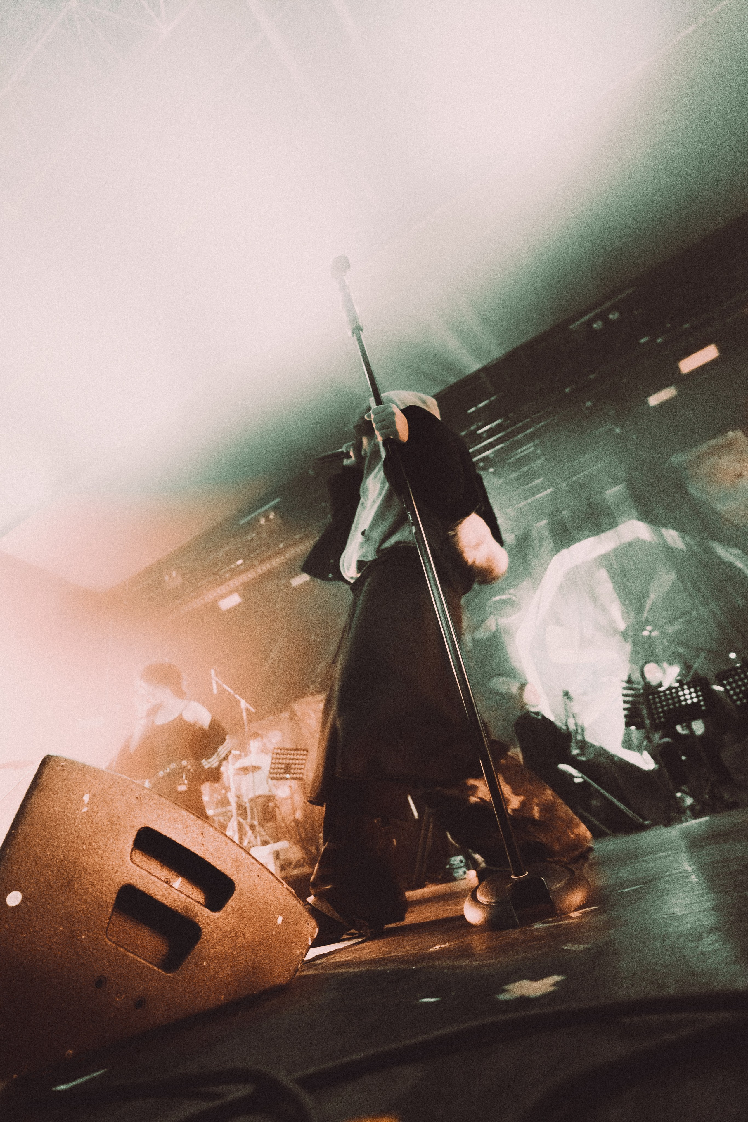 SALUKI. PASHAHARCE PHOTOGRAPHER & VIDEOGRAPHER