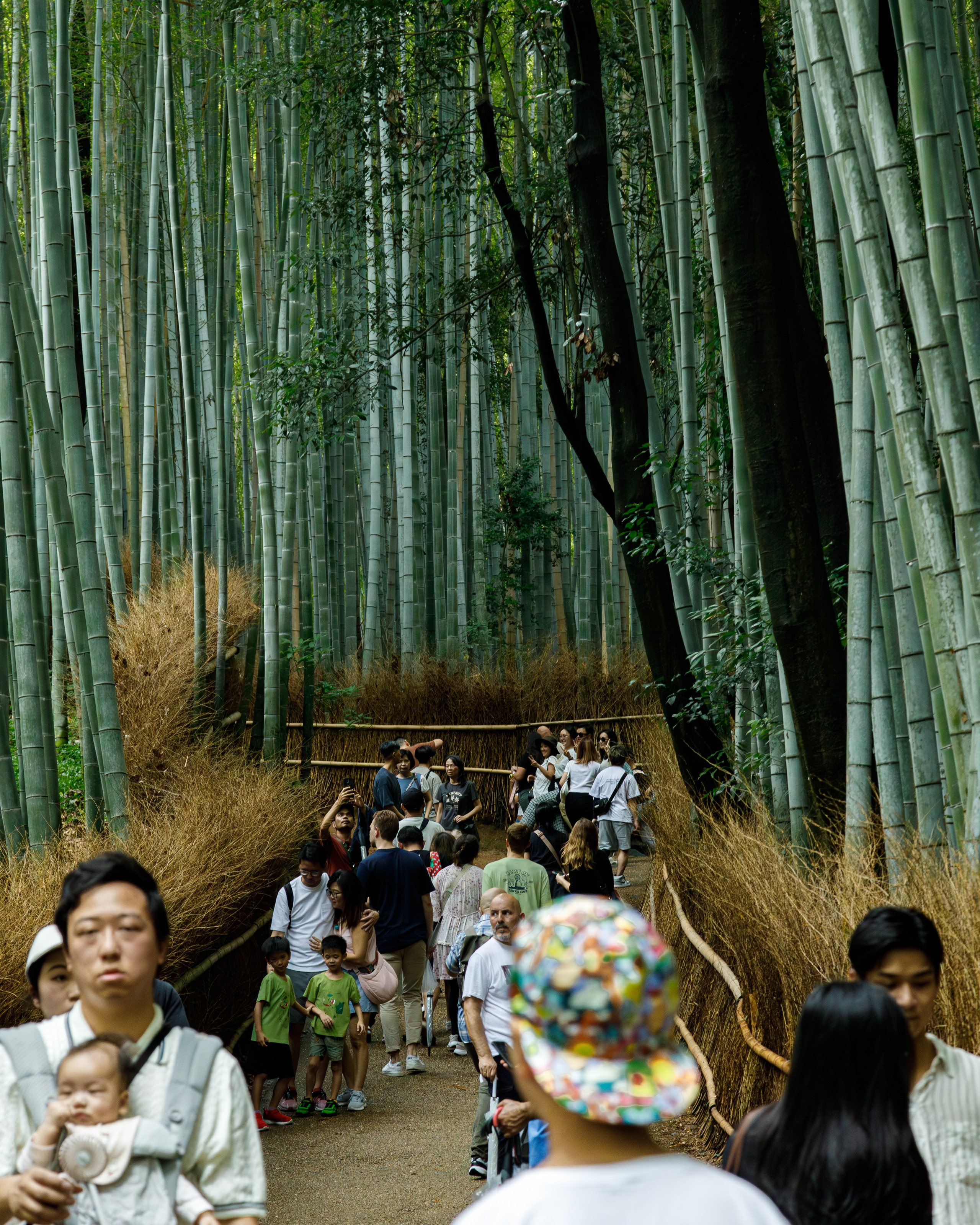 Япония. Фотограф Павел Подшивалов