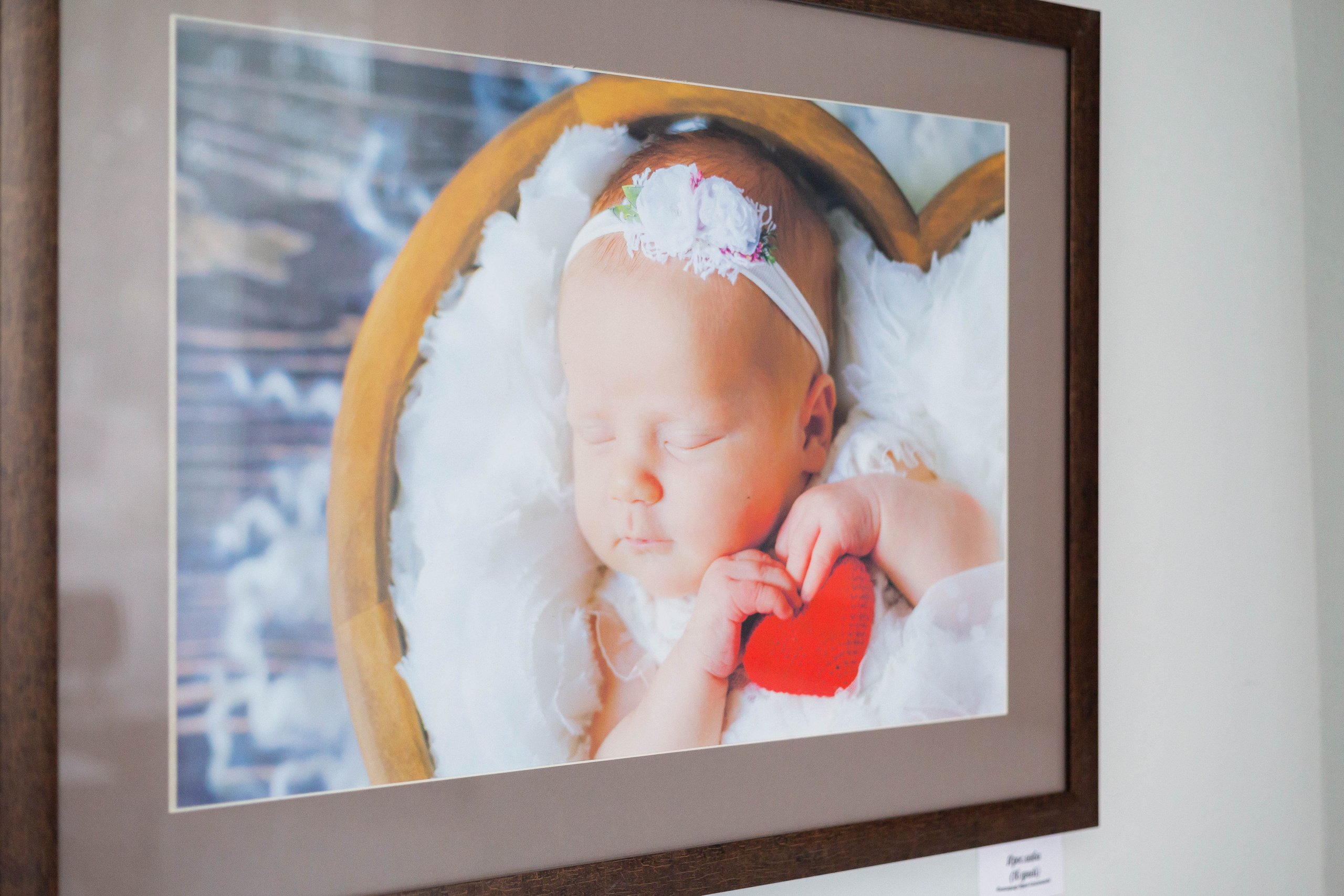 Выставка. Семейный и детский фотограф, фотограф новорожденных в Новокузнецке Ири