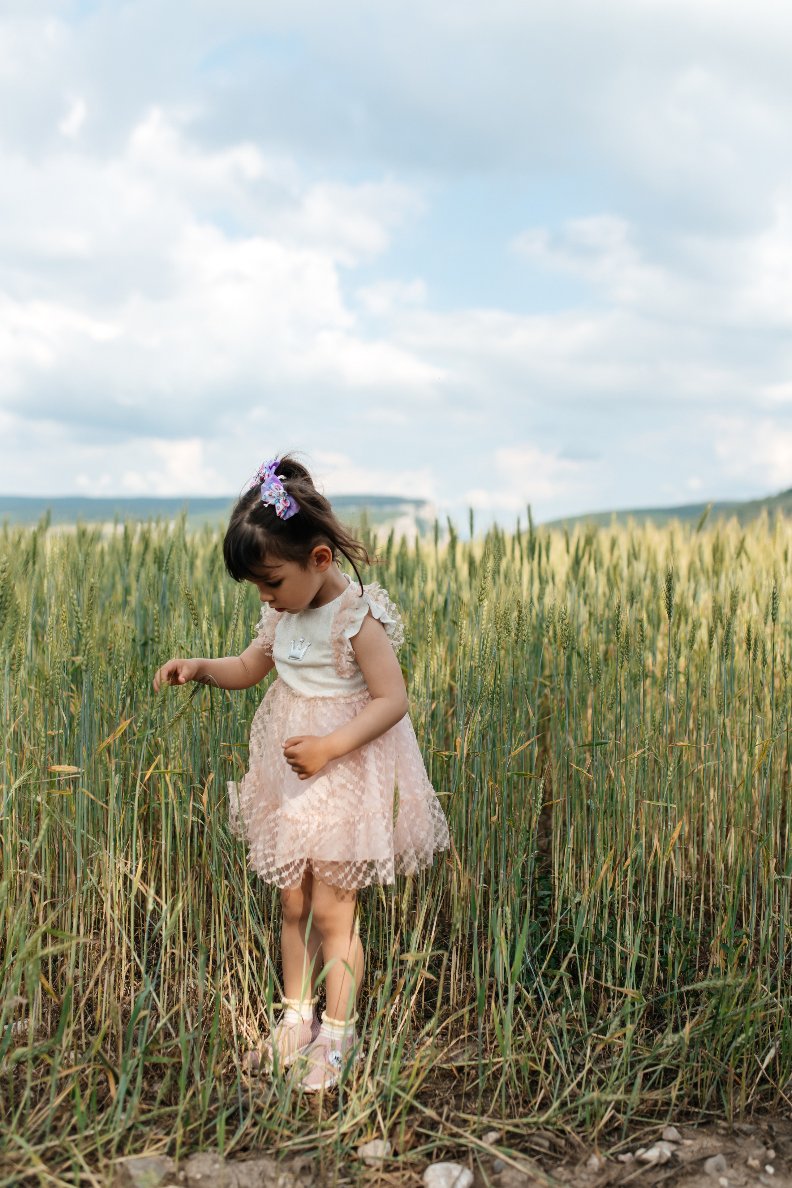 Daisies. ФОТОГРАФ