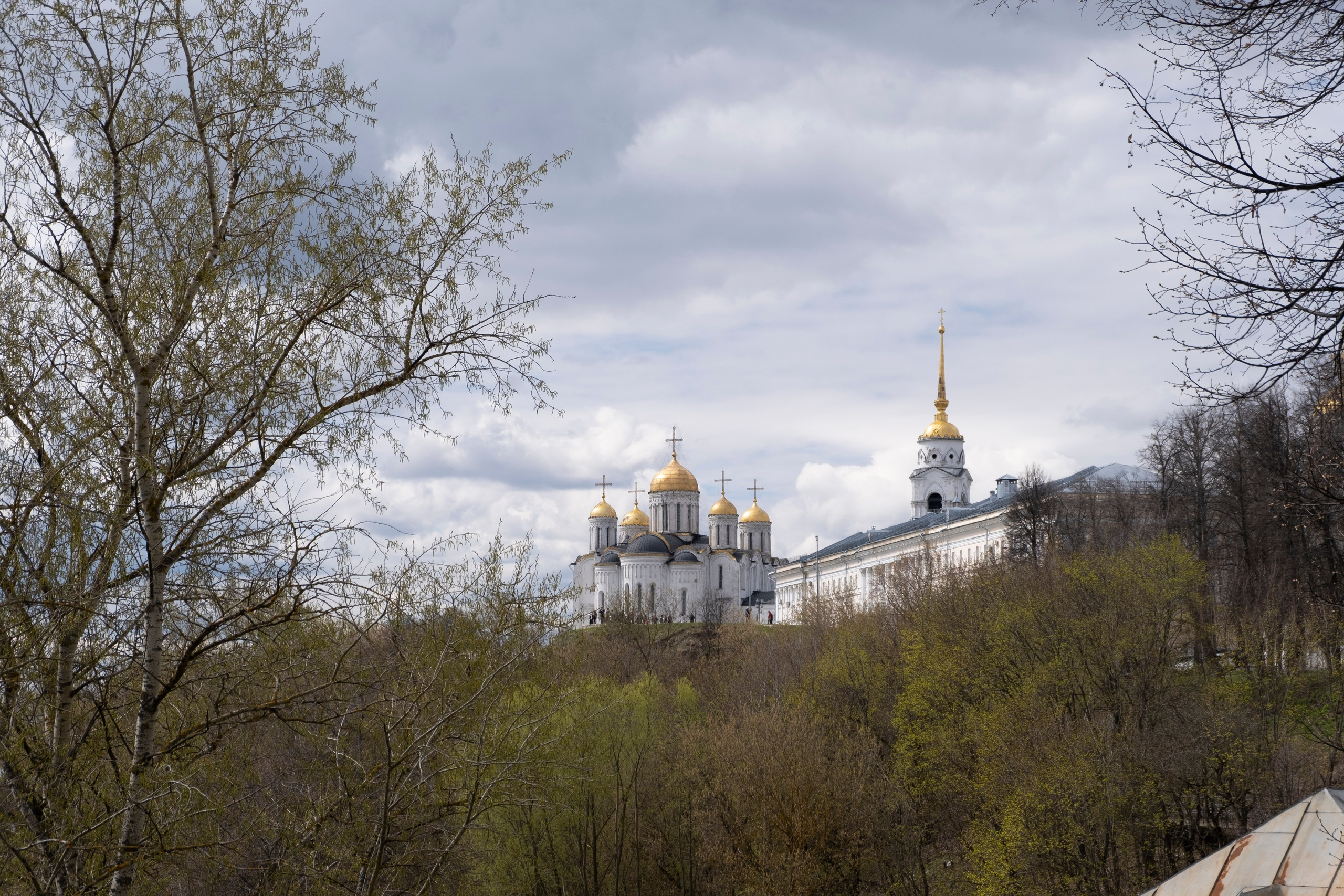 Владимир. Фотографии города, архитектуры, цветов, макро, кошек. Москва