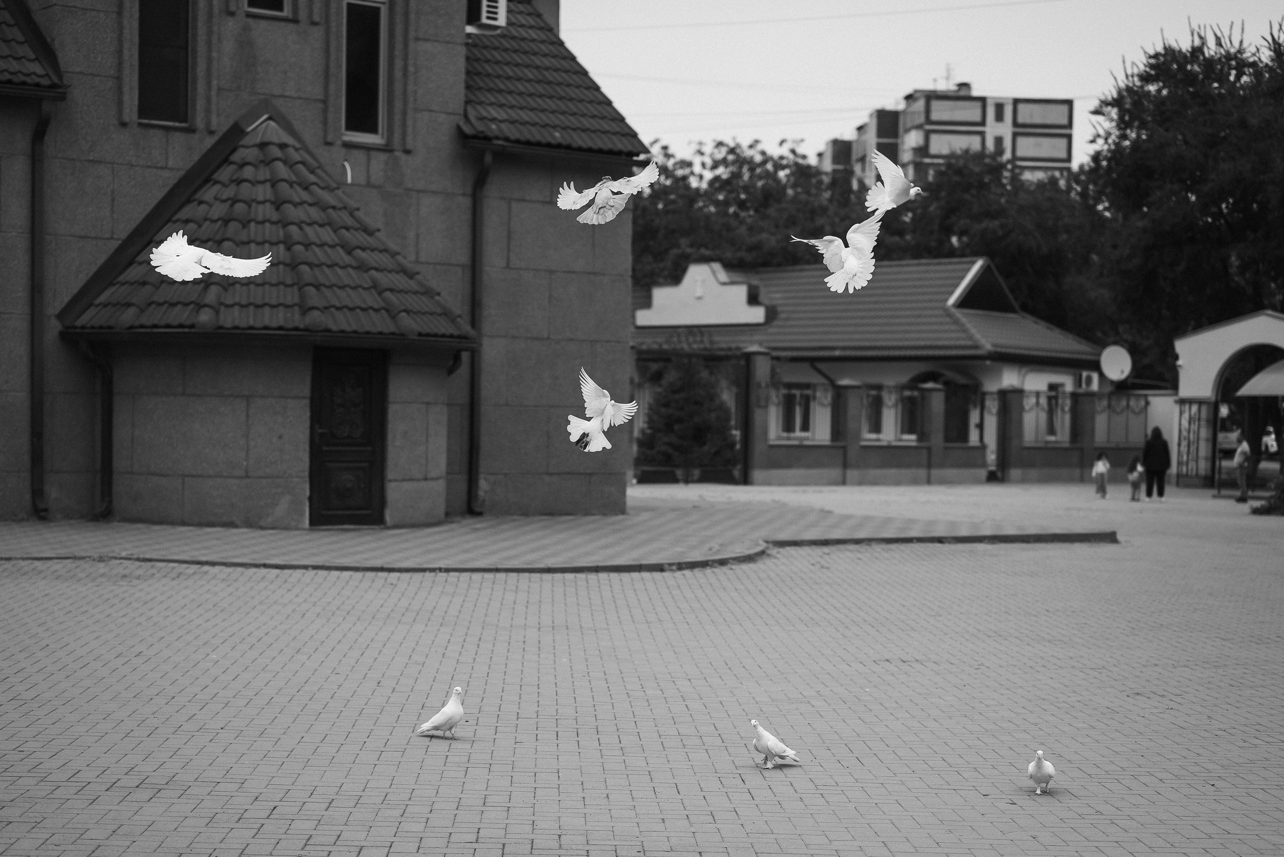 Борик & Анжела. Фотограф в Краснодарском крае Александр Шульга