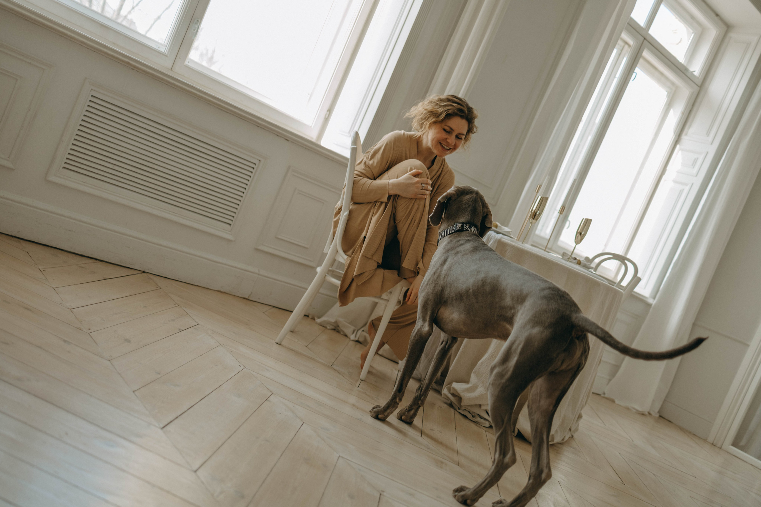 Фотосессия в студии с собакой. Фотограф-анималист в Екатеринбурге | Кристина