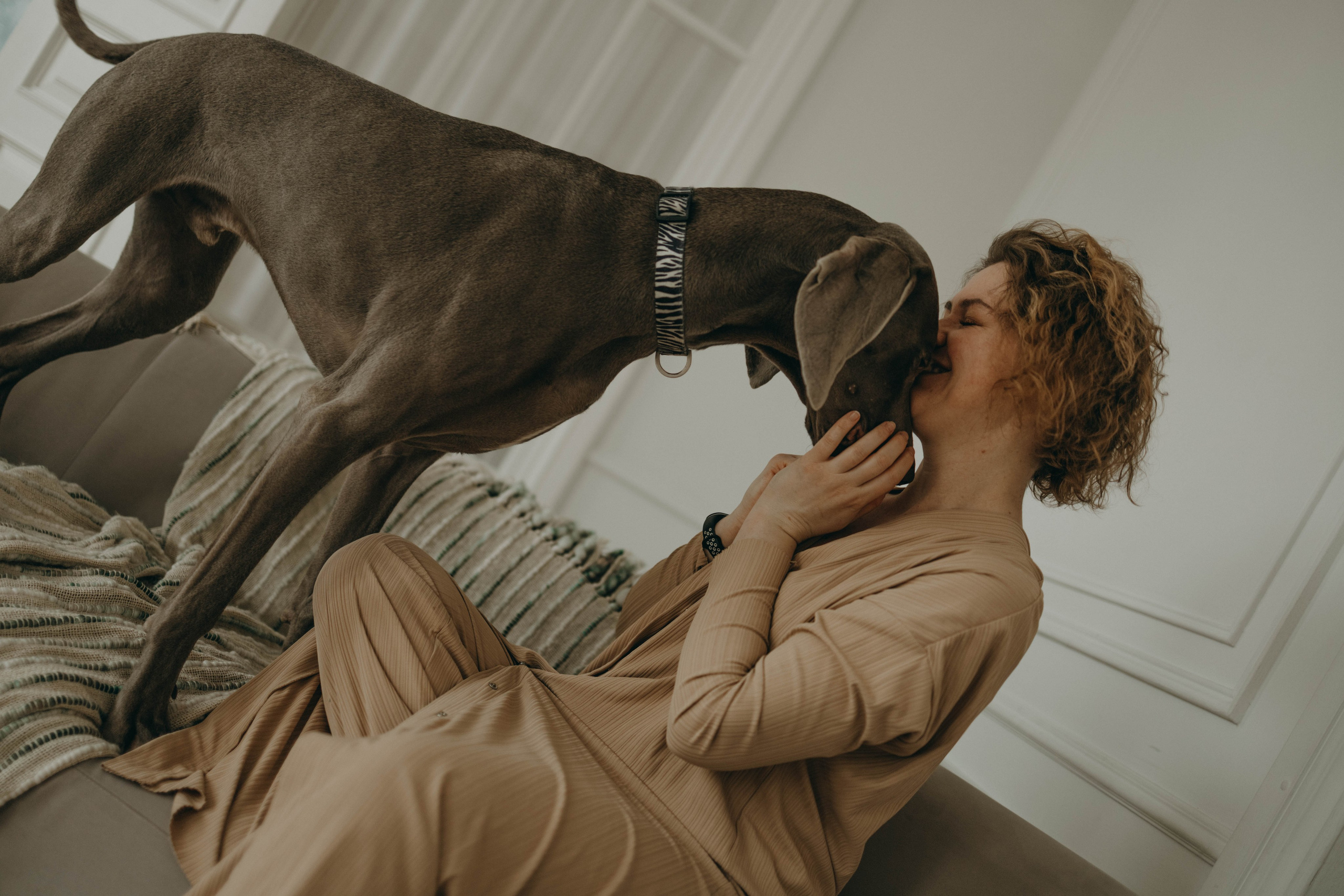 Фотосессия в студии с собакой. Фотограф-анималист в Екатеринбурге | Кристина