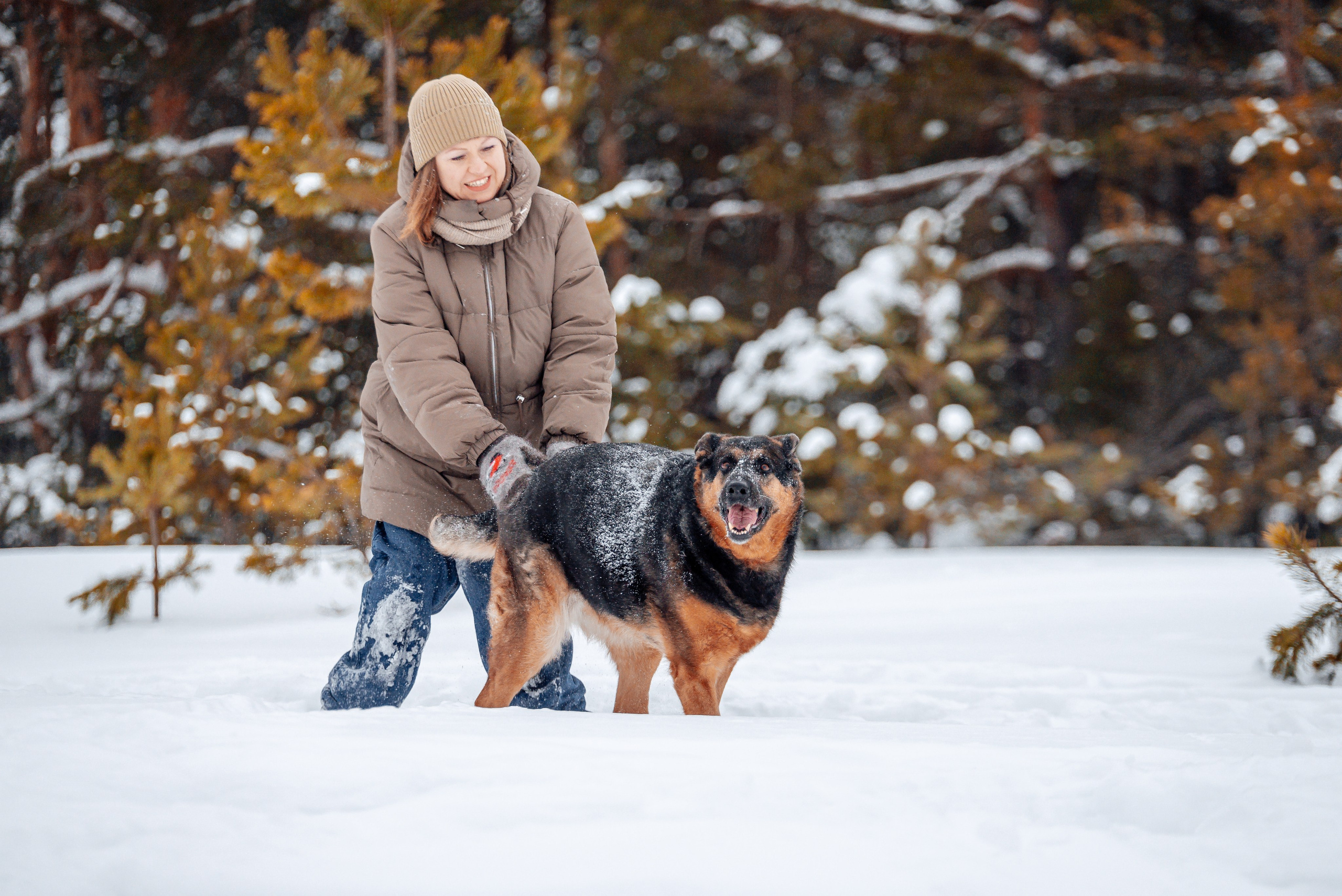 Светлана, Альфа и кошки ✨. Фотограф-анималист Анастасия Парфенова|Екатеринбург
