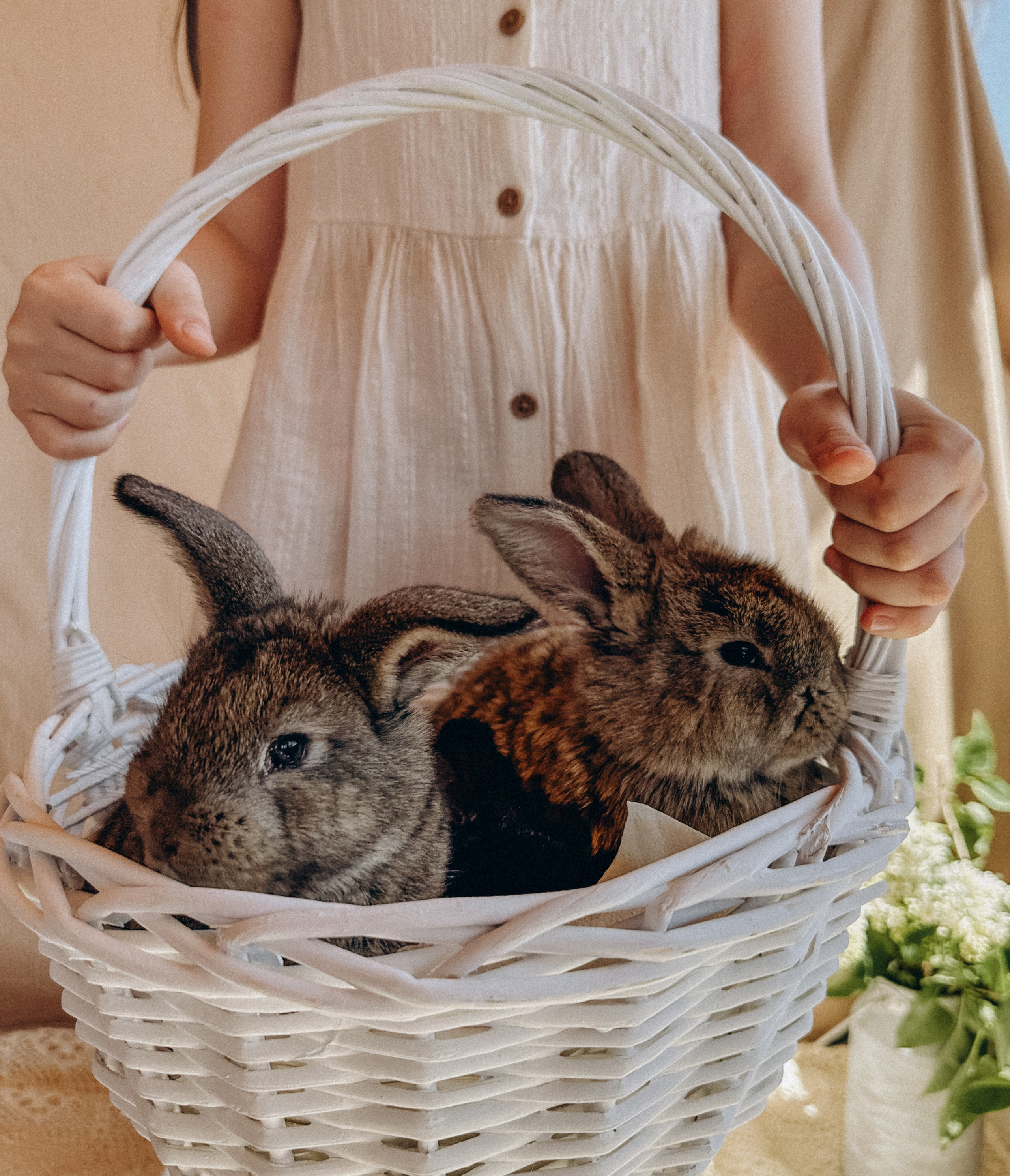 УШАСТАЯ ИСТОРИЯ…. FotoTanya. Раменское/Жуковский/Бронницы