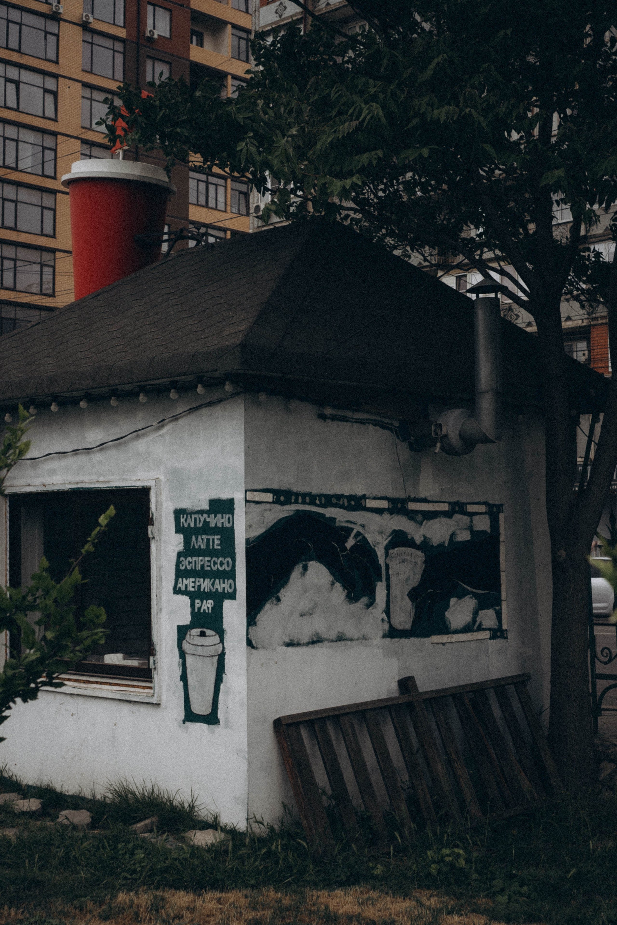 Кавказ. Профессиональный фотограф, Санкт-Петербург — Виктория Богомолова