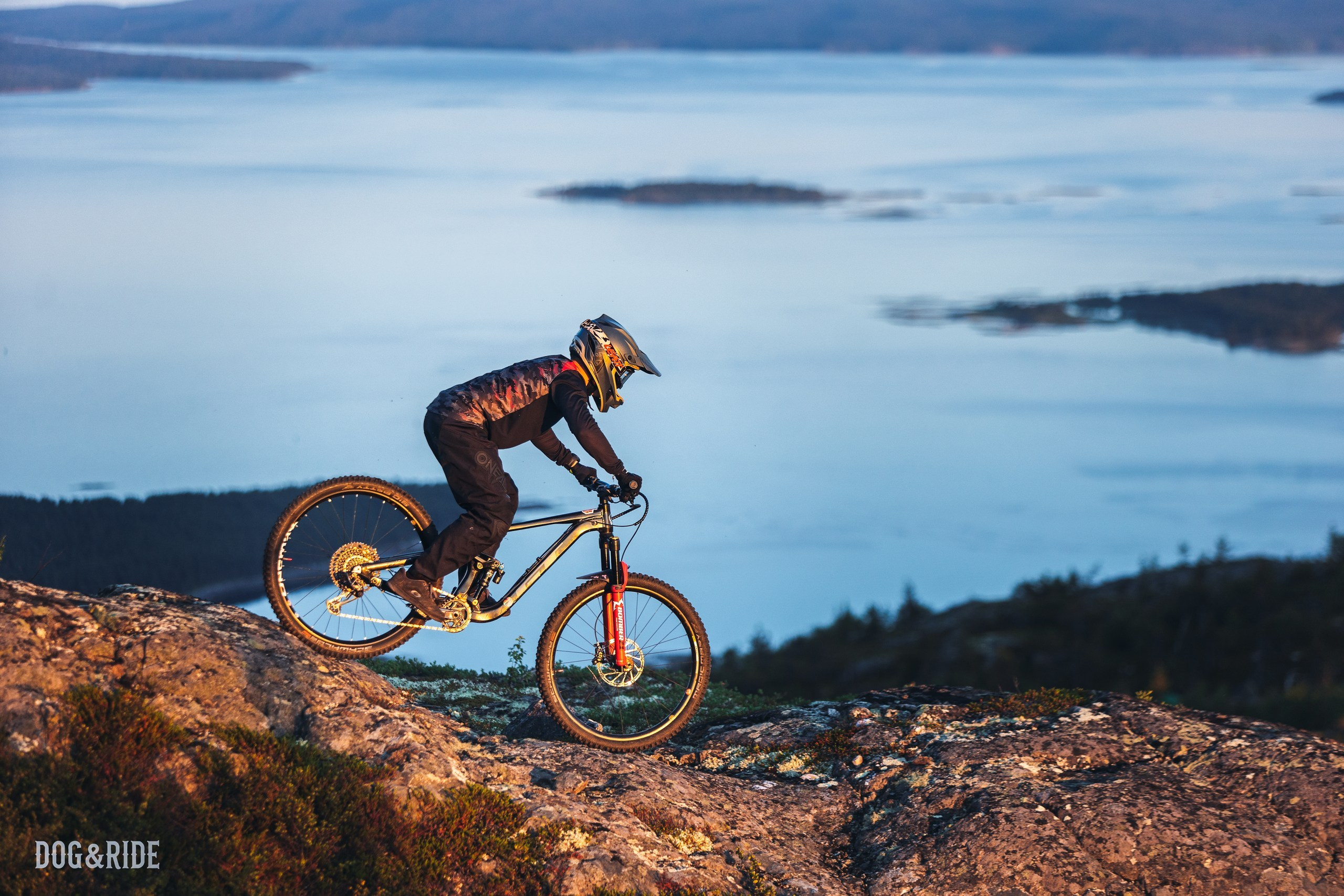 Кандалакшка. Фотограф анималист Никита Натальный