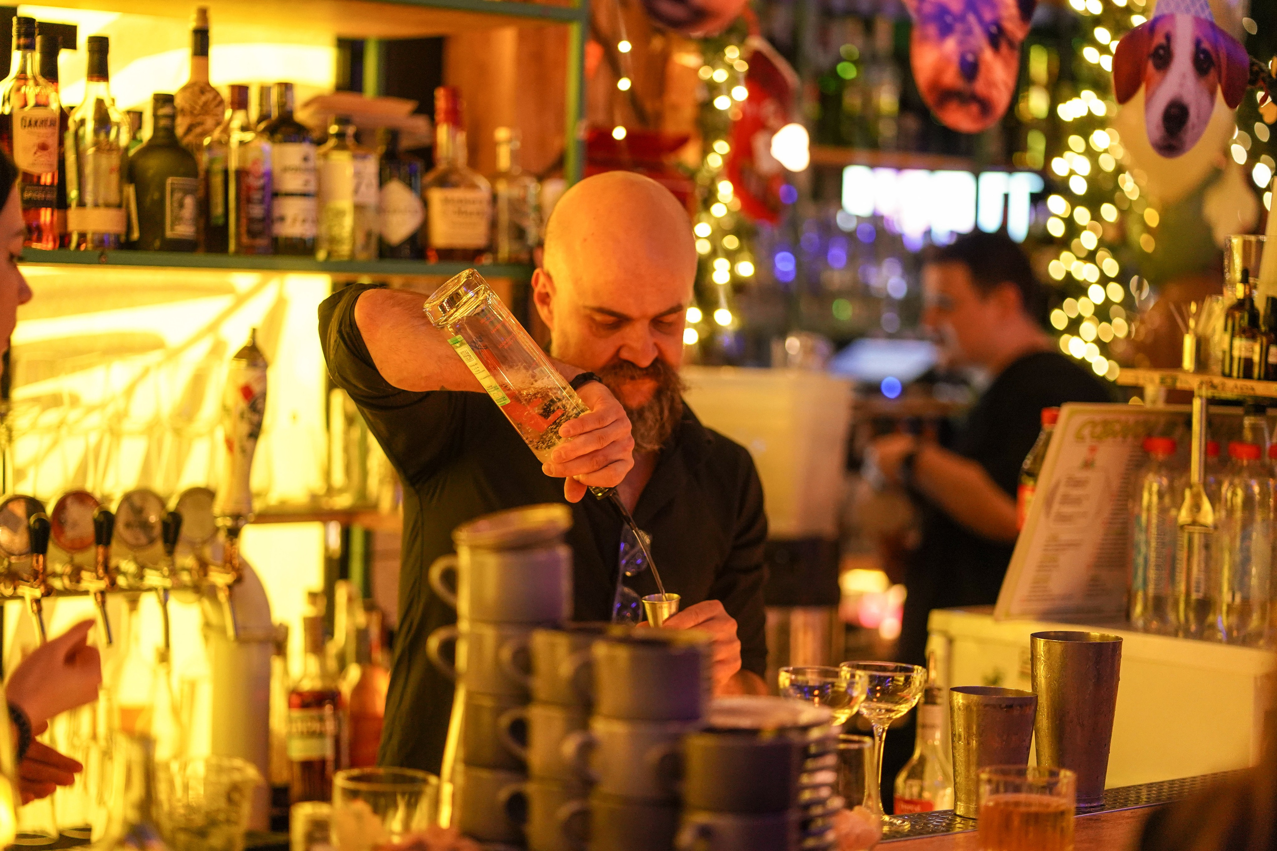 Бар Собаки в тумане. Фотограф