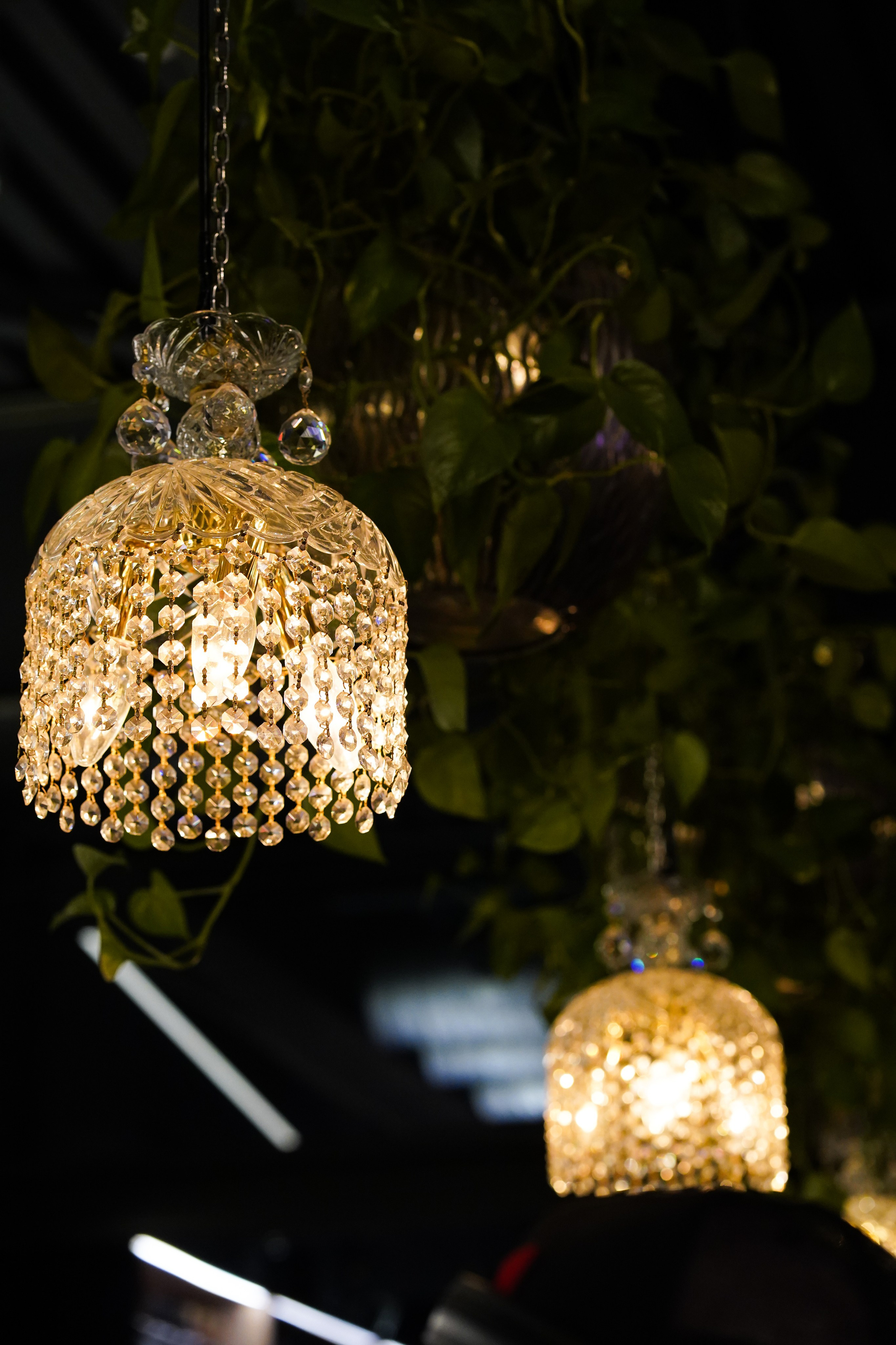 Ресторан Трамплин-Амбассадори. Фотограф