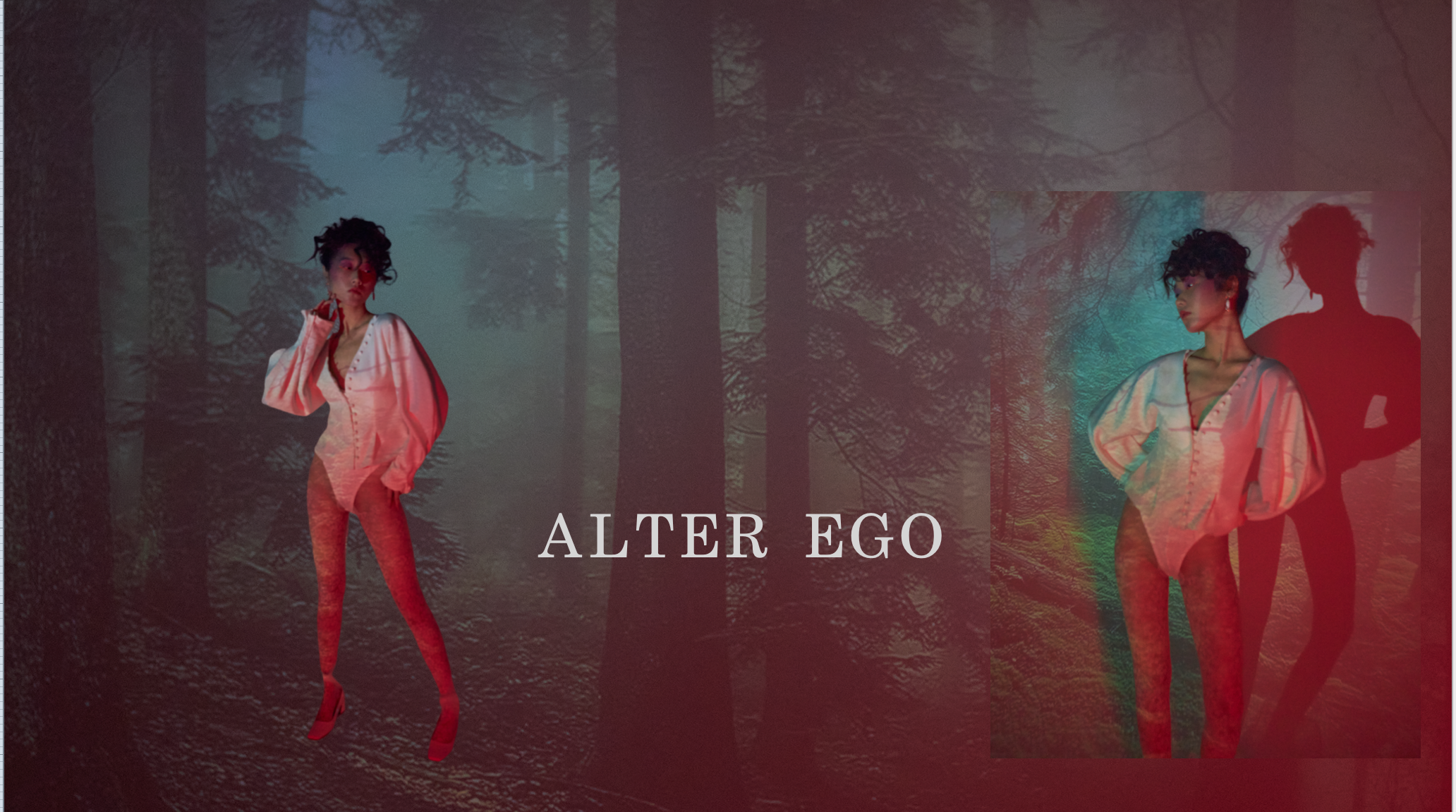 ALTER EGO. Daryashevchenko.com