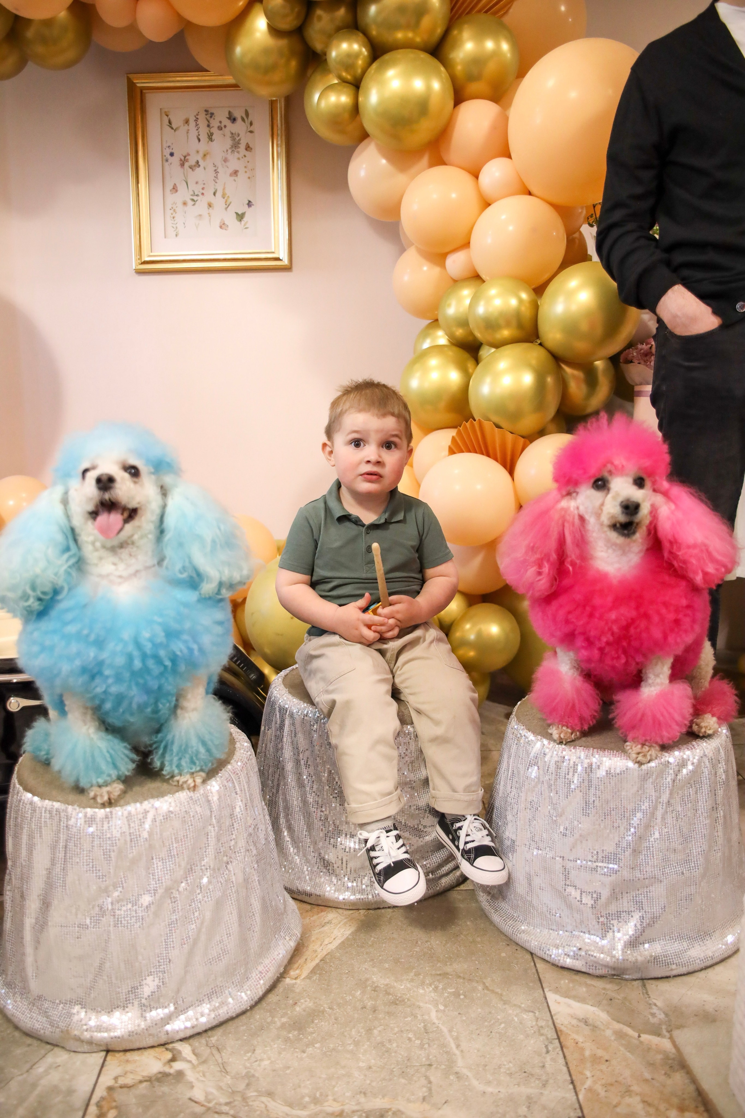 День Рождение Алисы. БАМБИНИ БАР. Главная