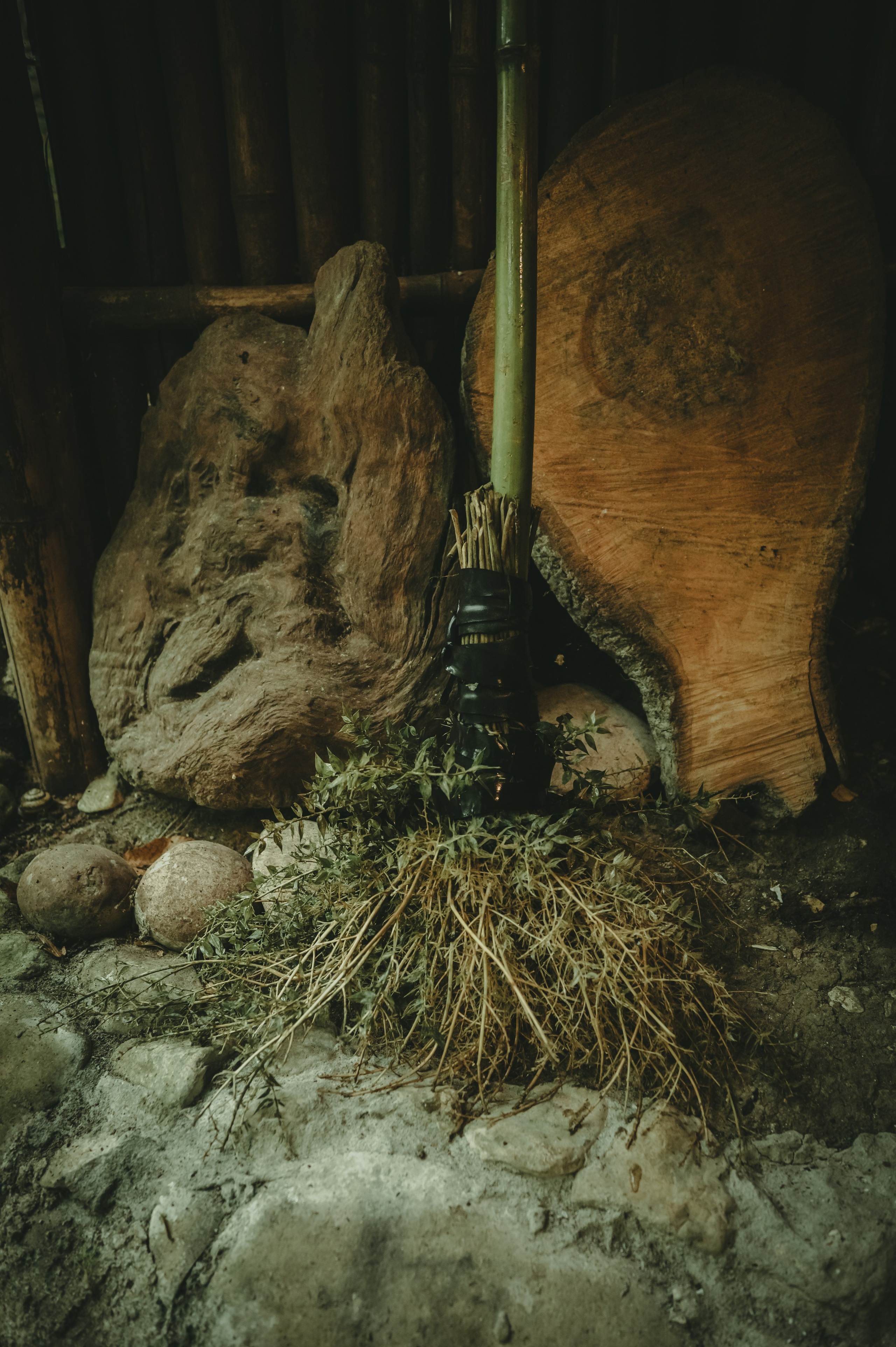 Абхазия. Женский фотограф Крещение Венчание Москва Брянск