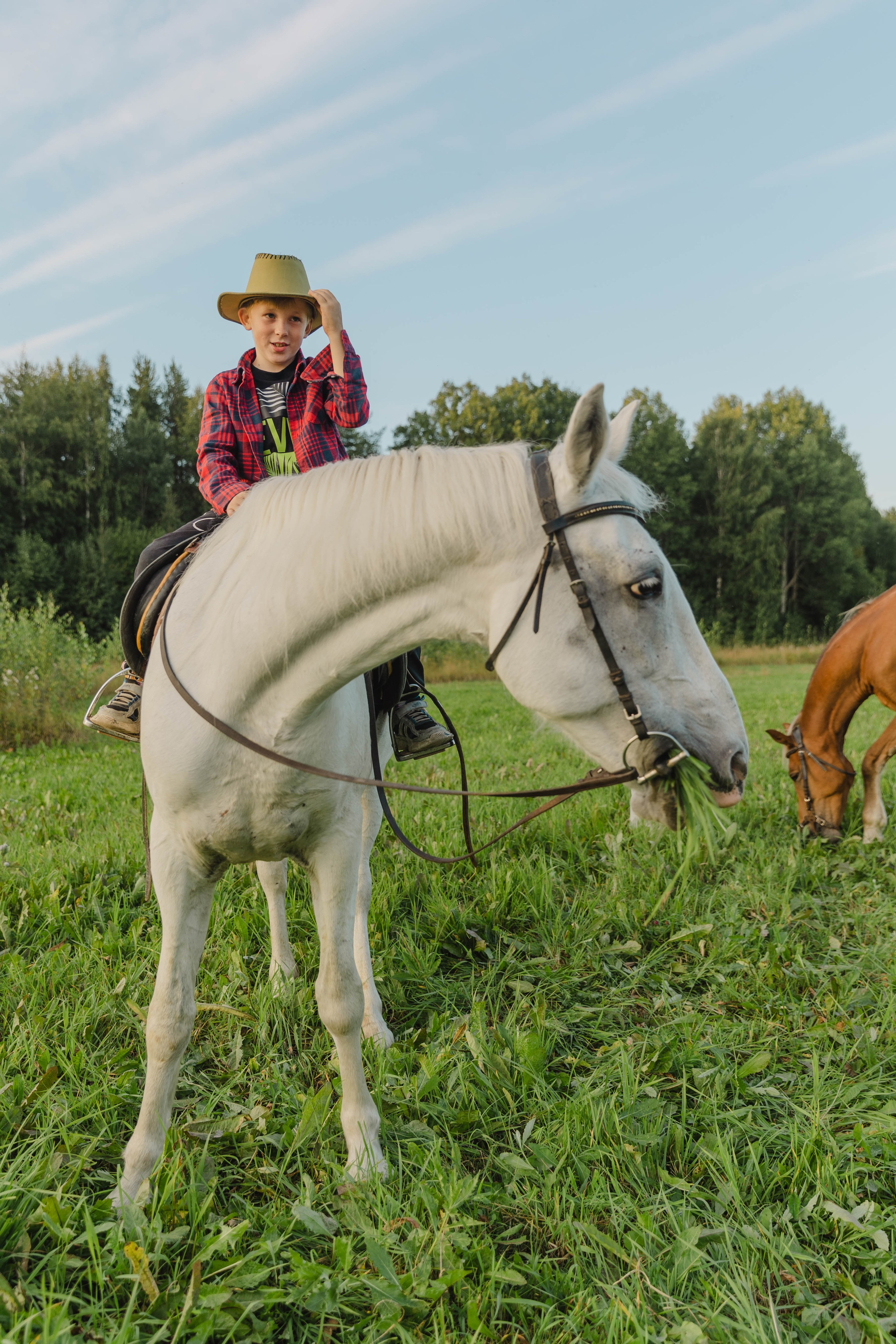 Тёплый вечер лета. Свадебный и семейный фотограф в Карелии