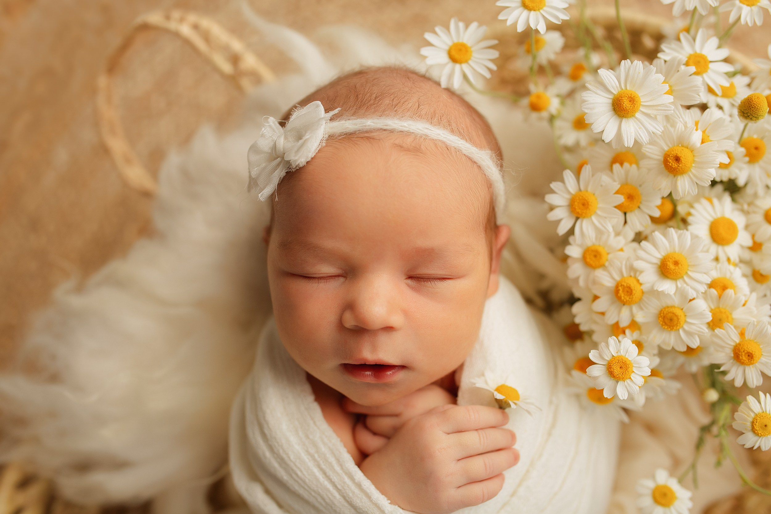ПОЛИНА. Фотограф новорожденных Оксана Полевская