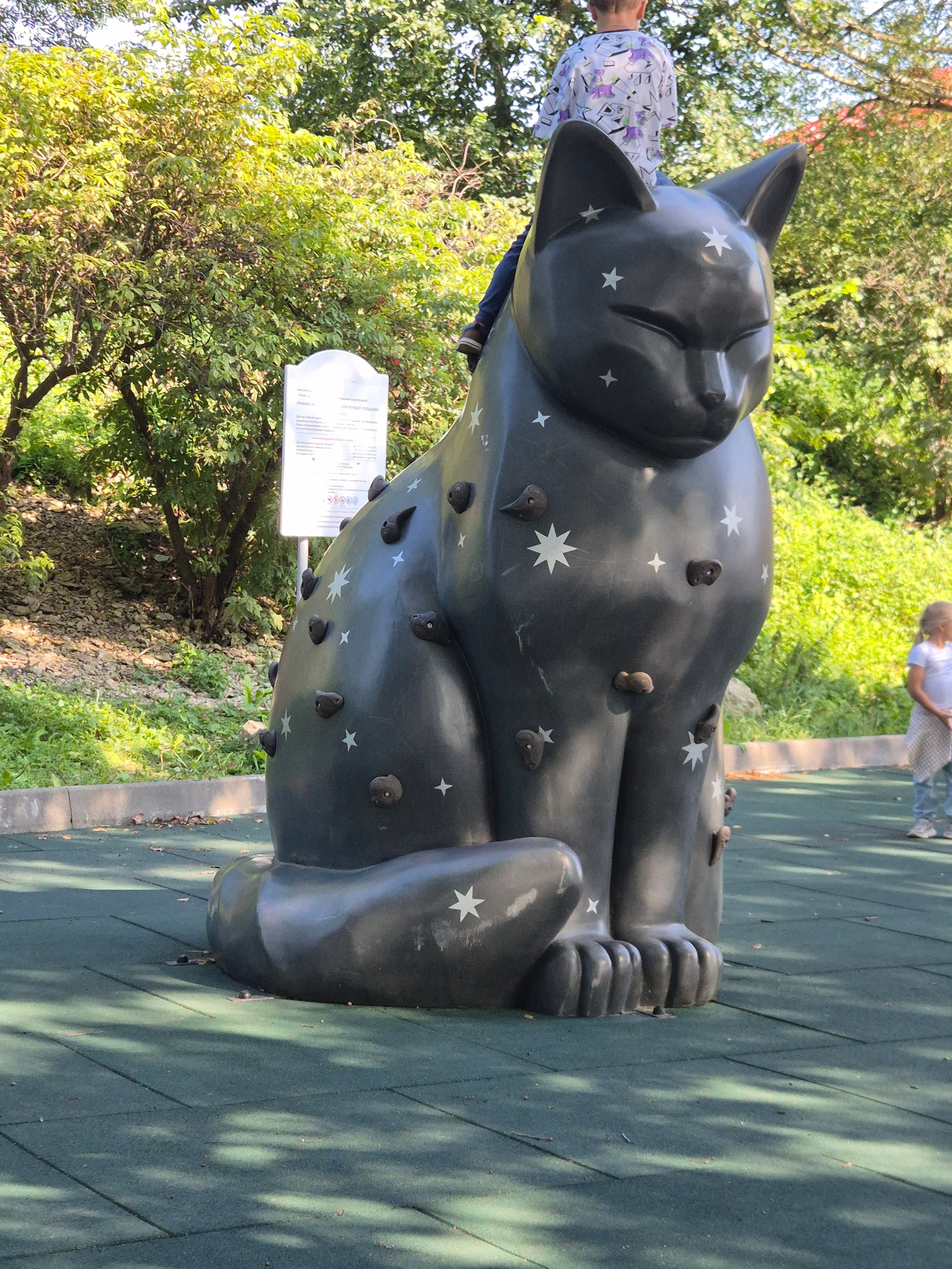 Котик на набережной