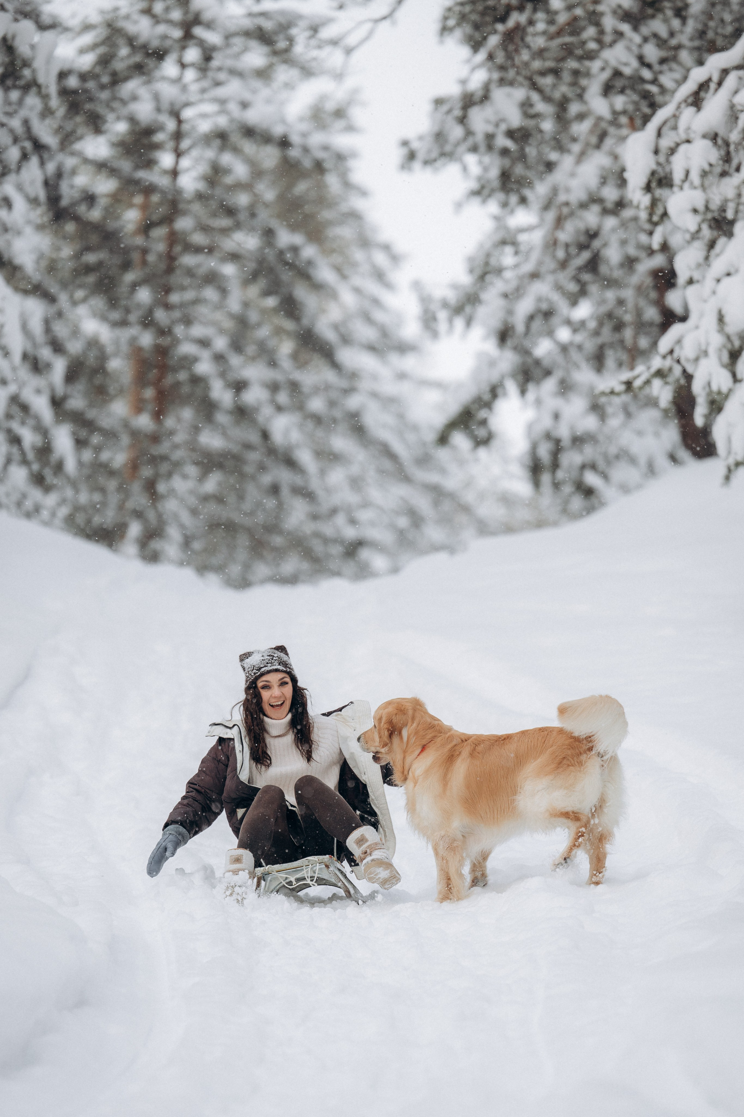 Зимняя история, Света и Чарли. Фотограф анималист в Казани Алина Сулейманова. Фотограф животных