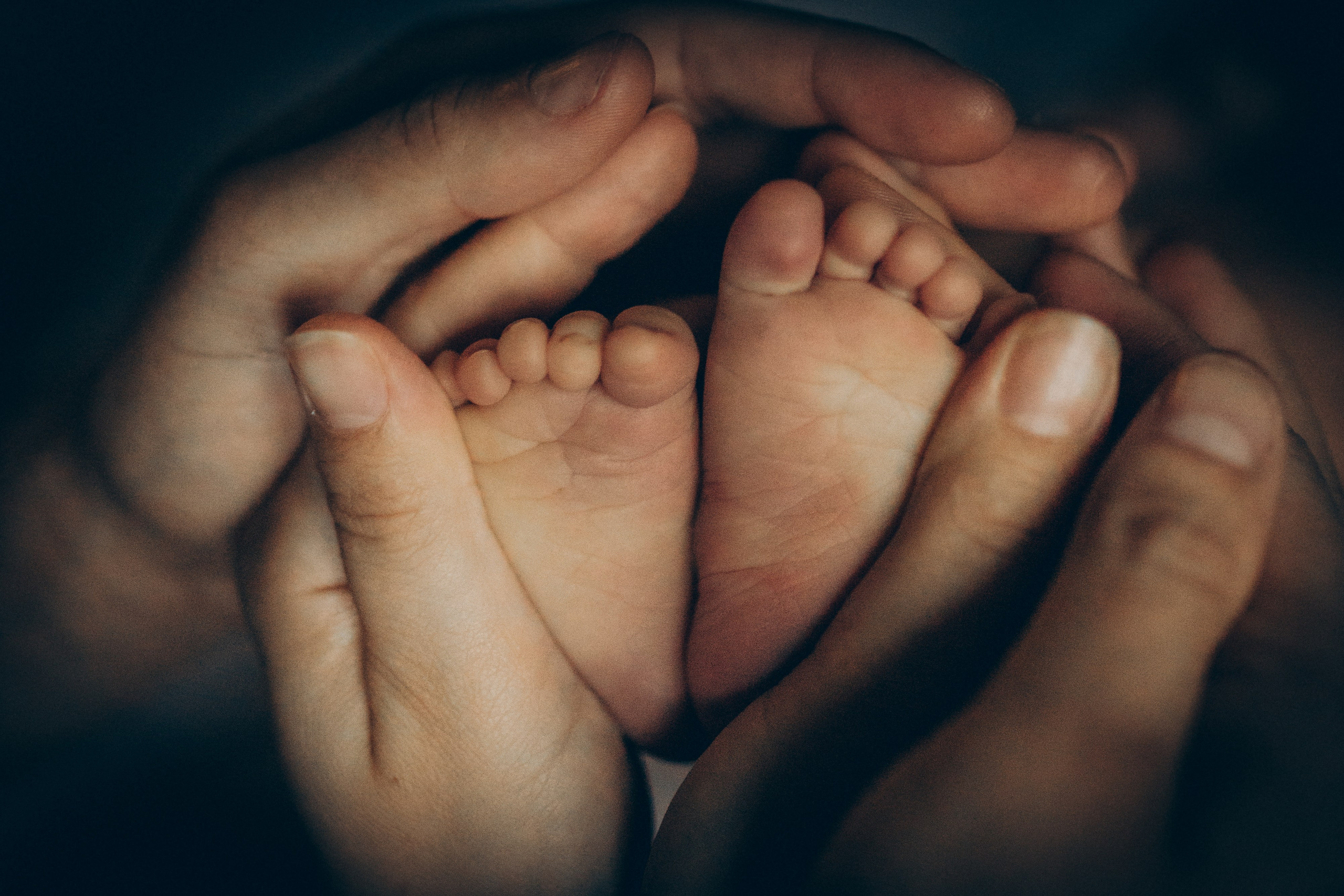 Вика, Вова и Федя. Семейный фотограф и фотограф на роды в Ростове-на-Дону Мухина Виктория