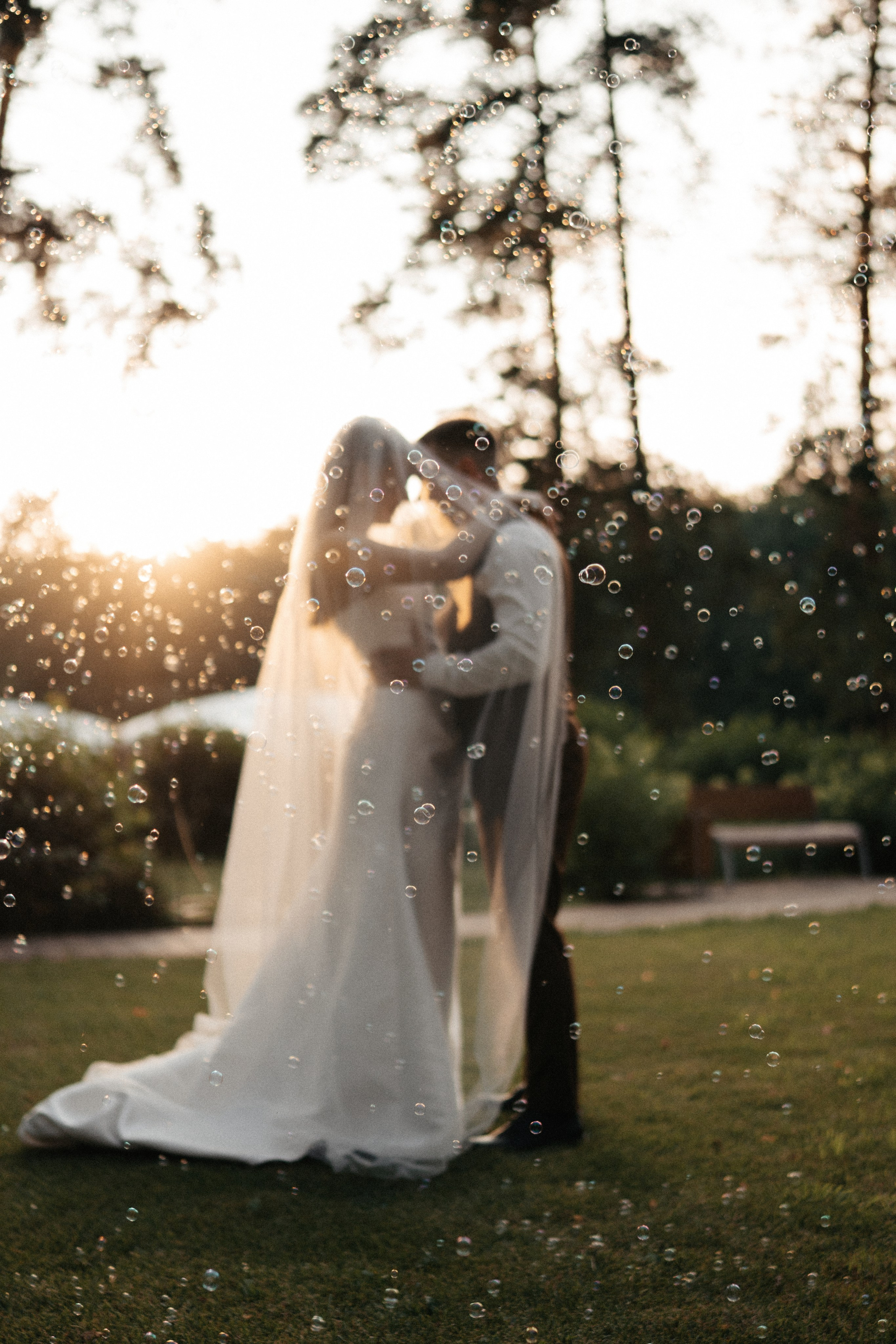 Роман и Алина. Фотограф Тамбов — Воронеж