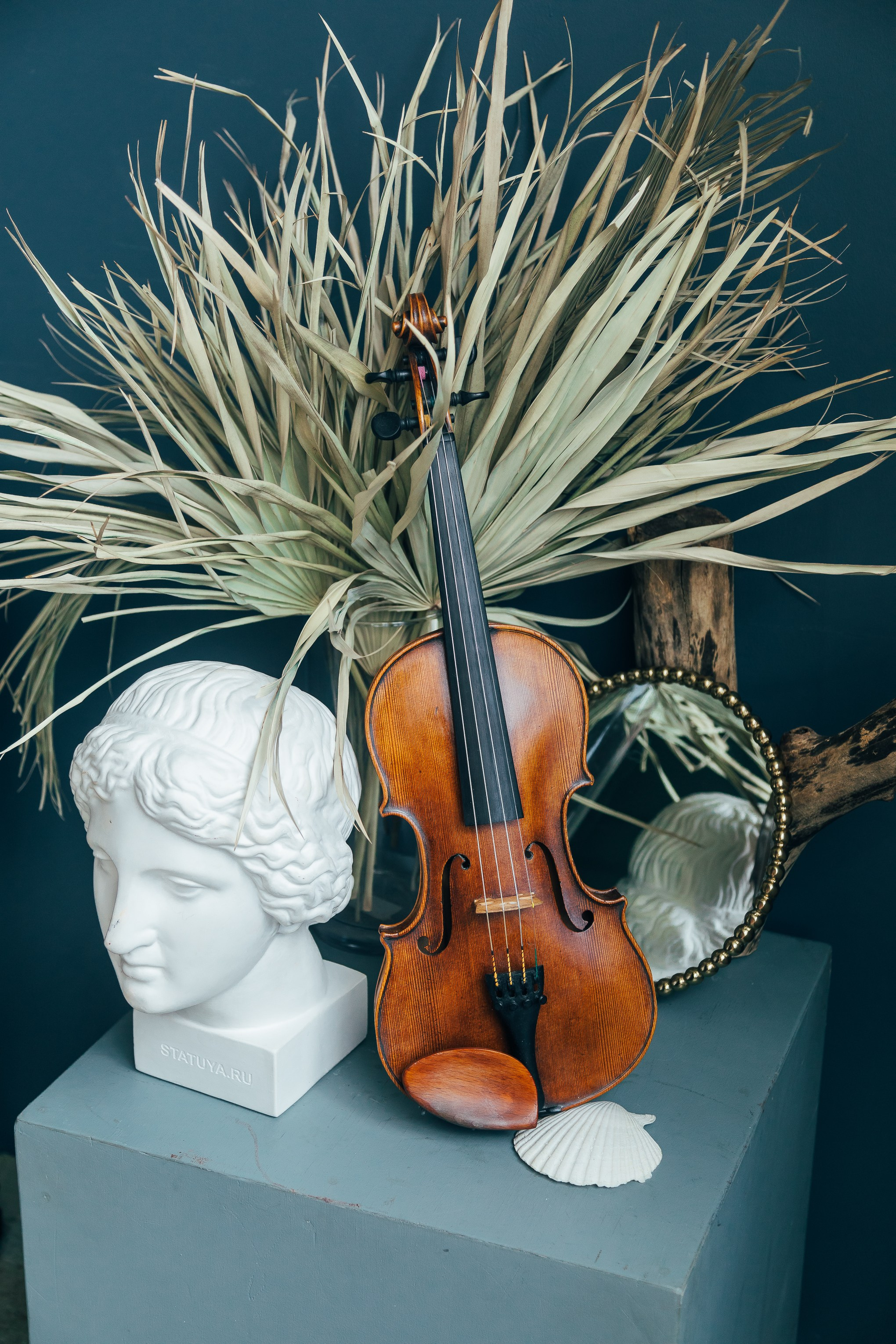 🎻. Фотограф Вика Про
