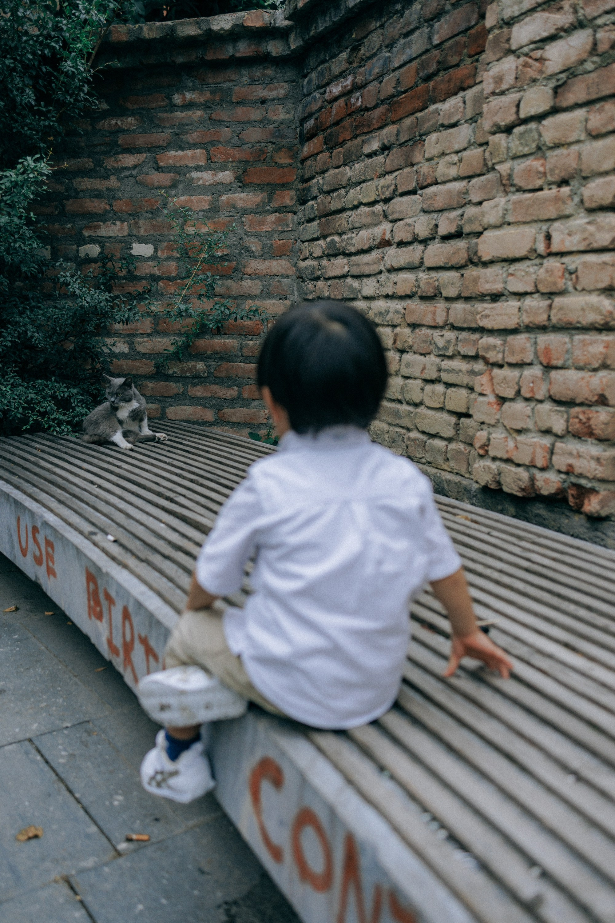 Japanise Family photoshoot in Tbilisi, Georgia