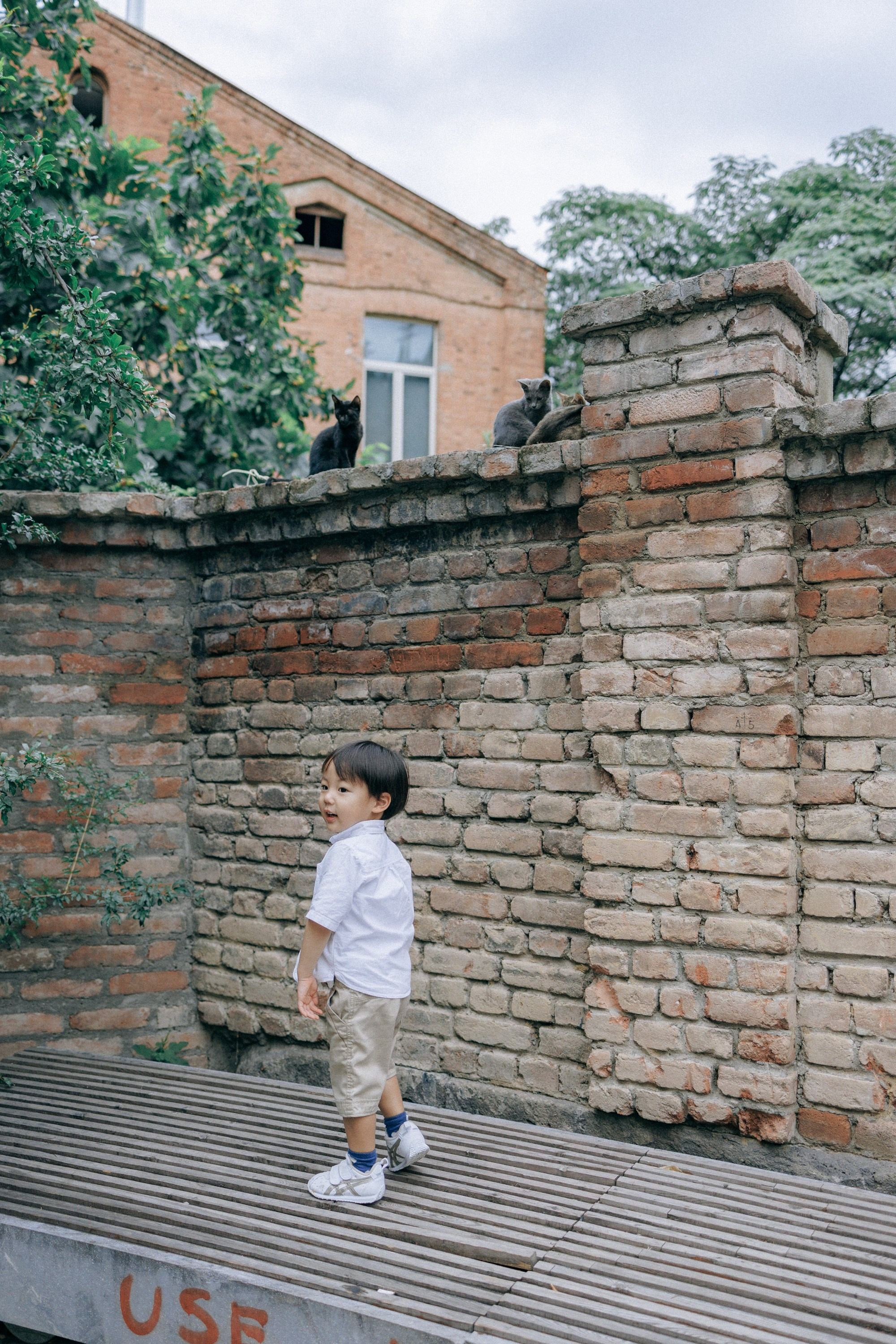 Japanise Family photoshoot in Tbilisi, Georgia