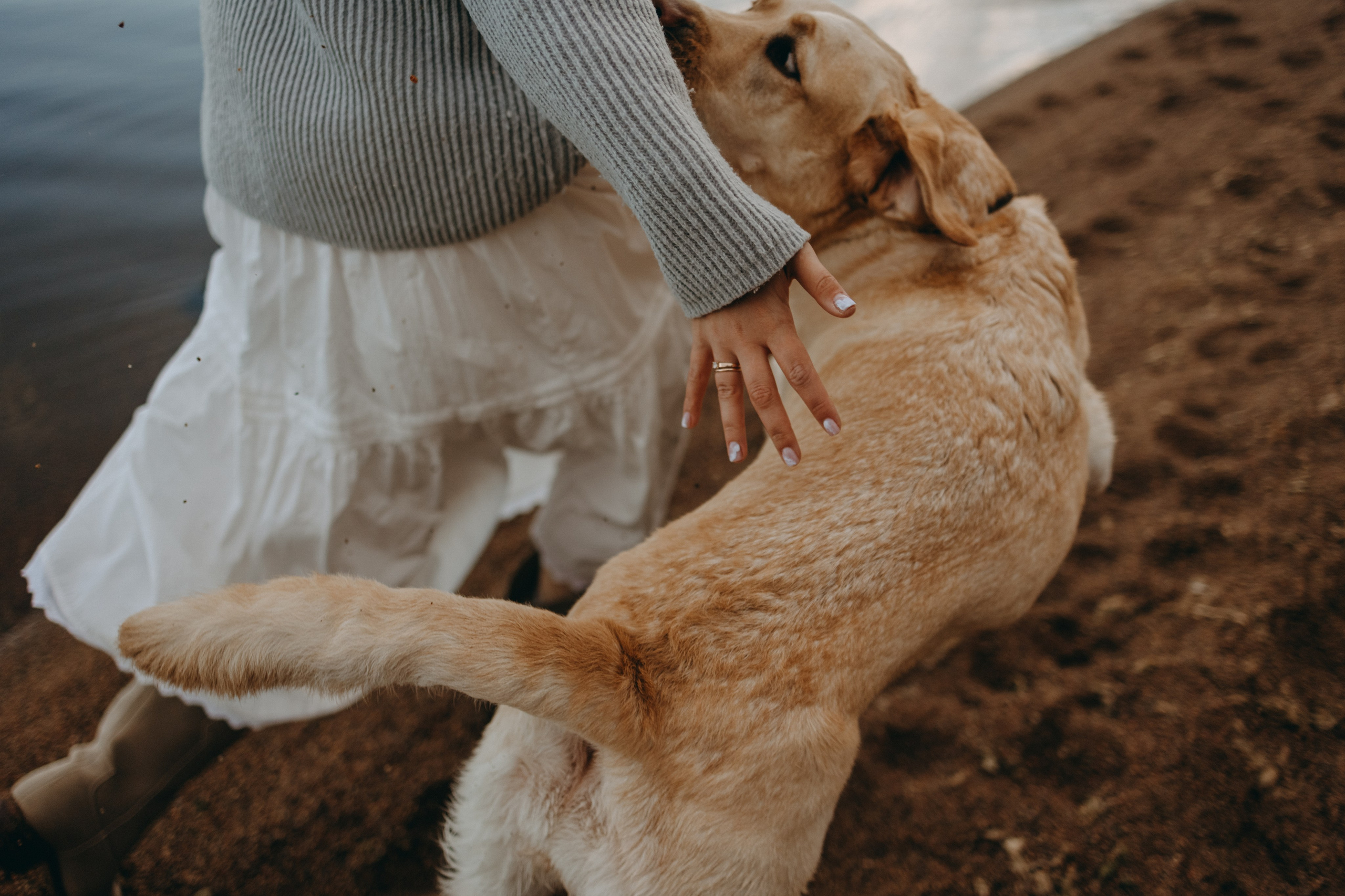 Наташа и Шани. Фотограф — Анималист | Санкт-Петербург