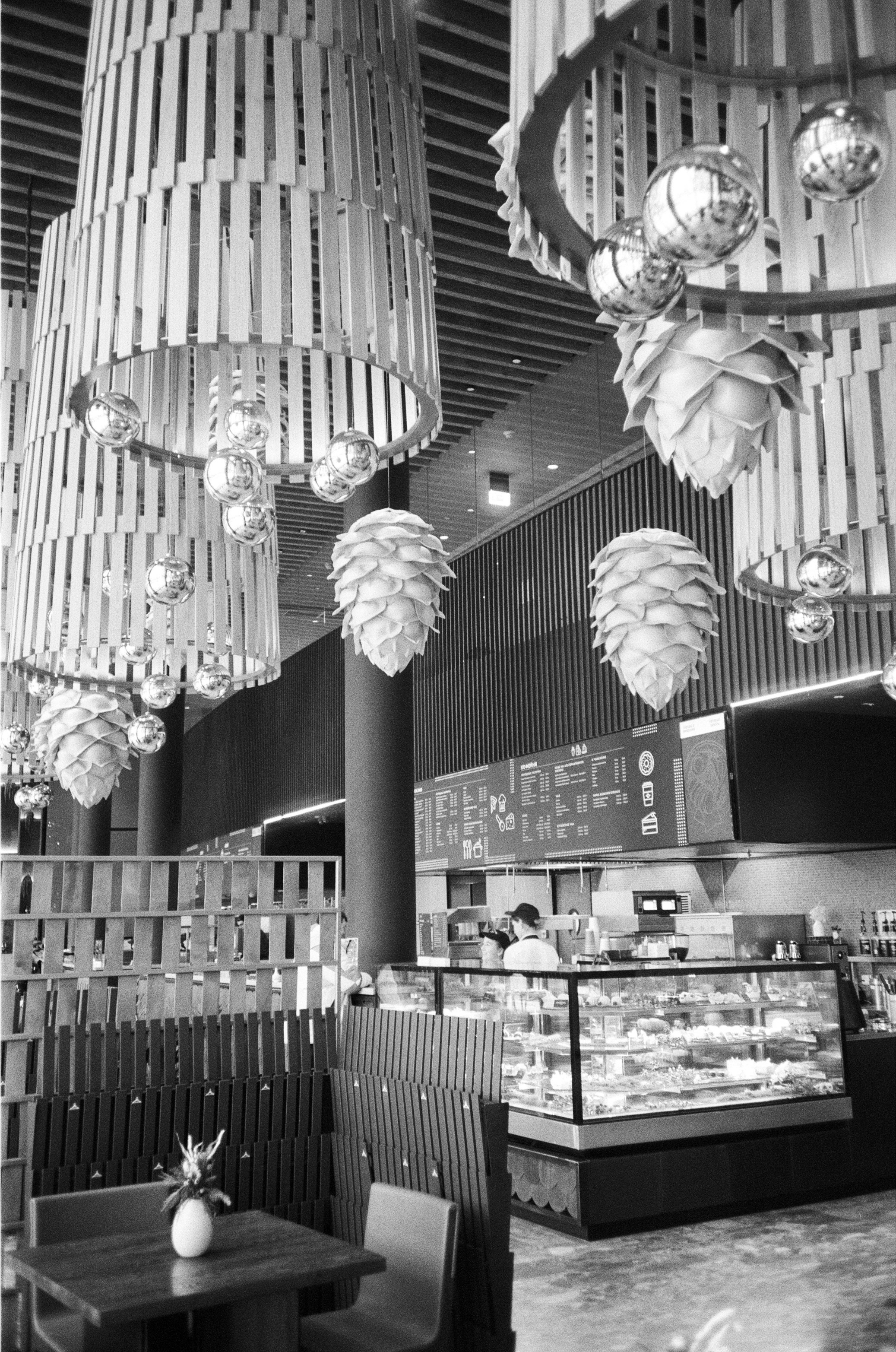 Olympus AF-10 SUPER / Ilford PAN 400 / Алтай, зима 2023 год