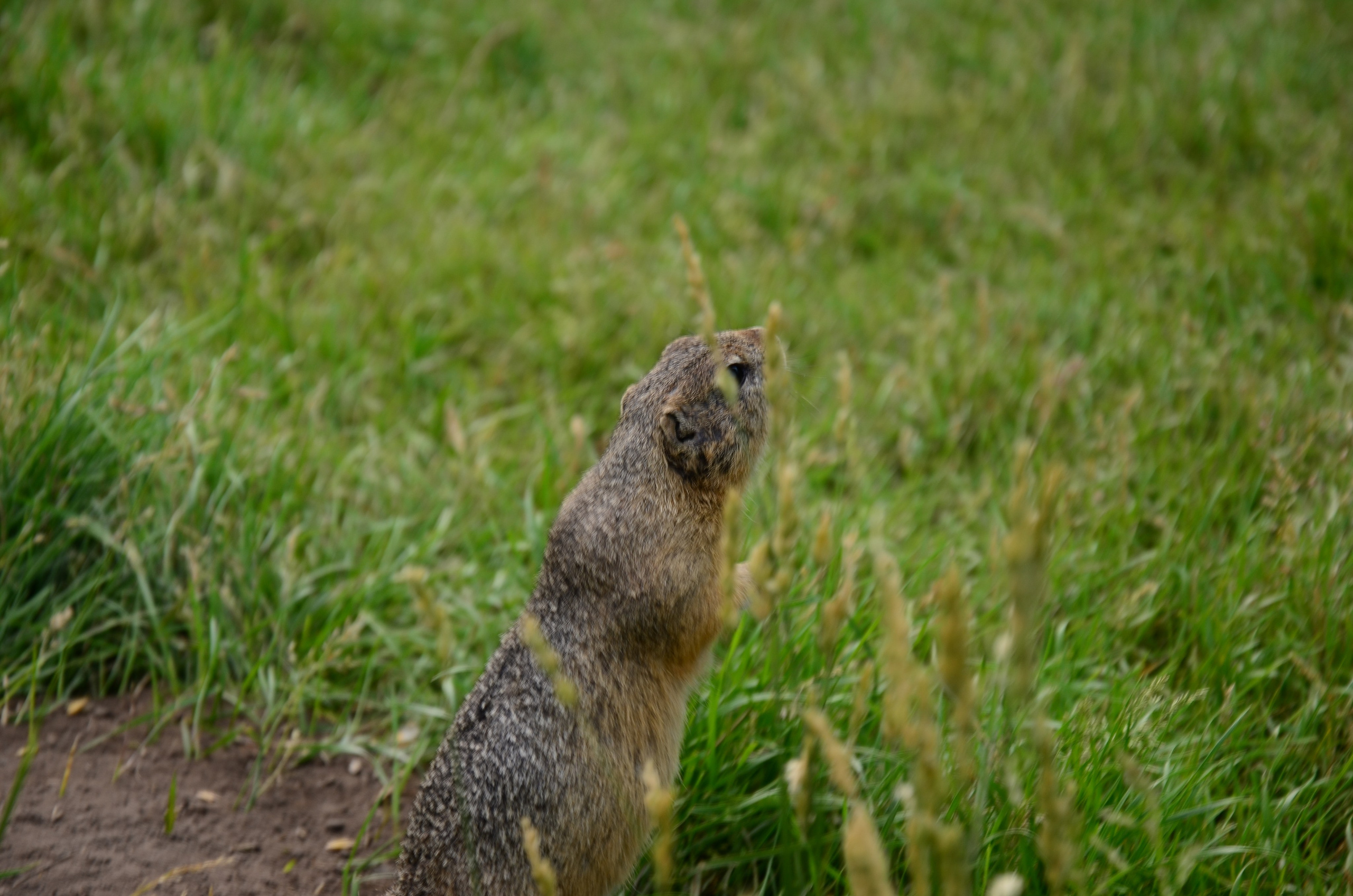 Дары природы. Фотограф viktor viktor