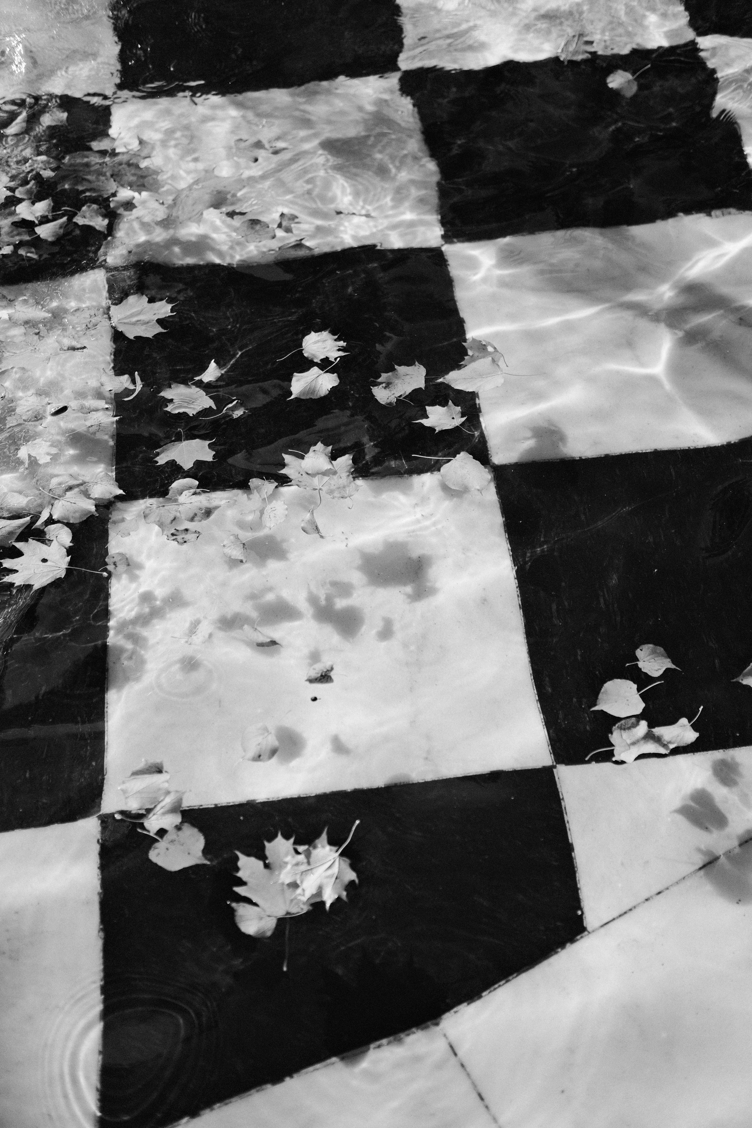 Под плёнку. Михаил Долганов