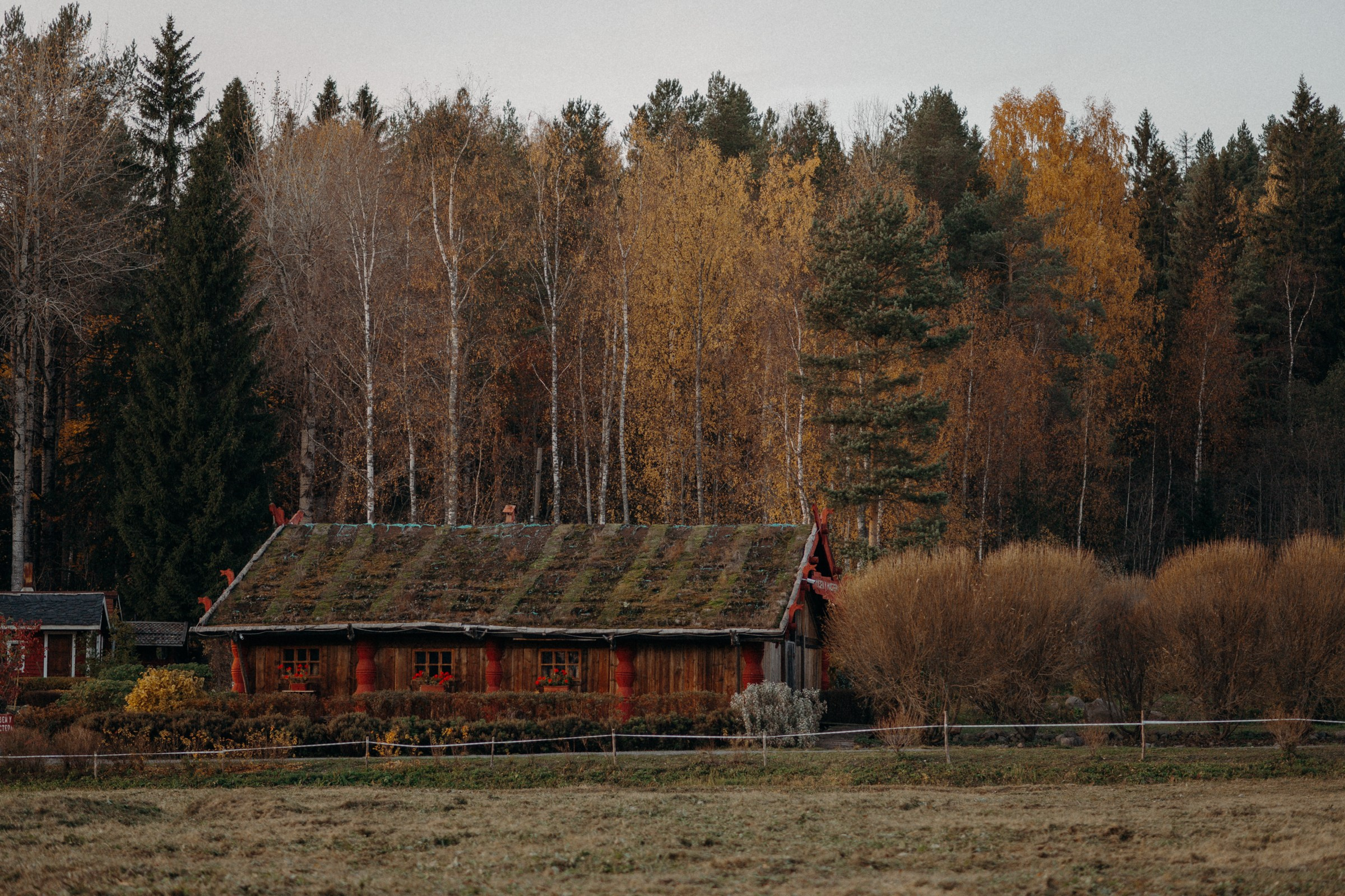Осенняя поездка в Карелию. Свадебный фотограф в Санкт-Петербурге Венера Ахметова