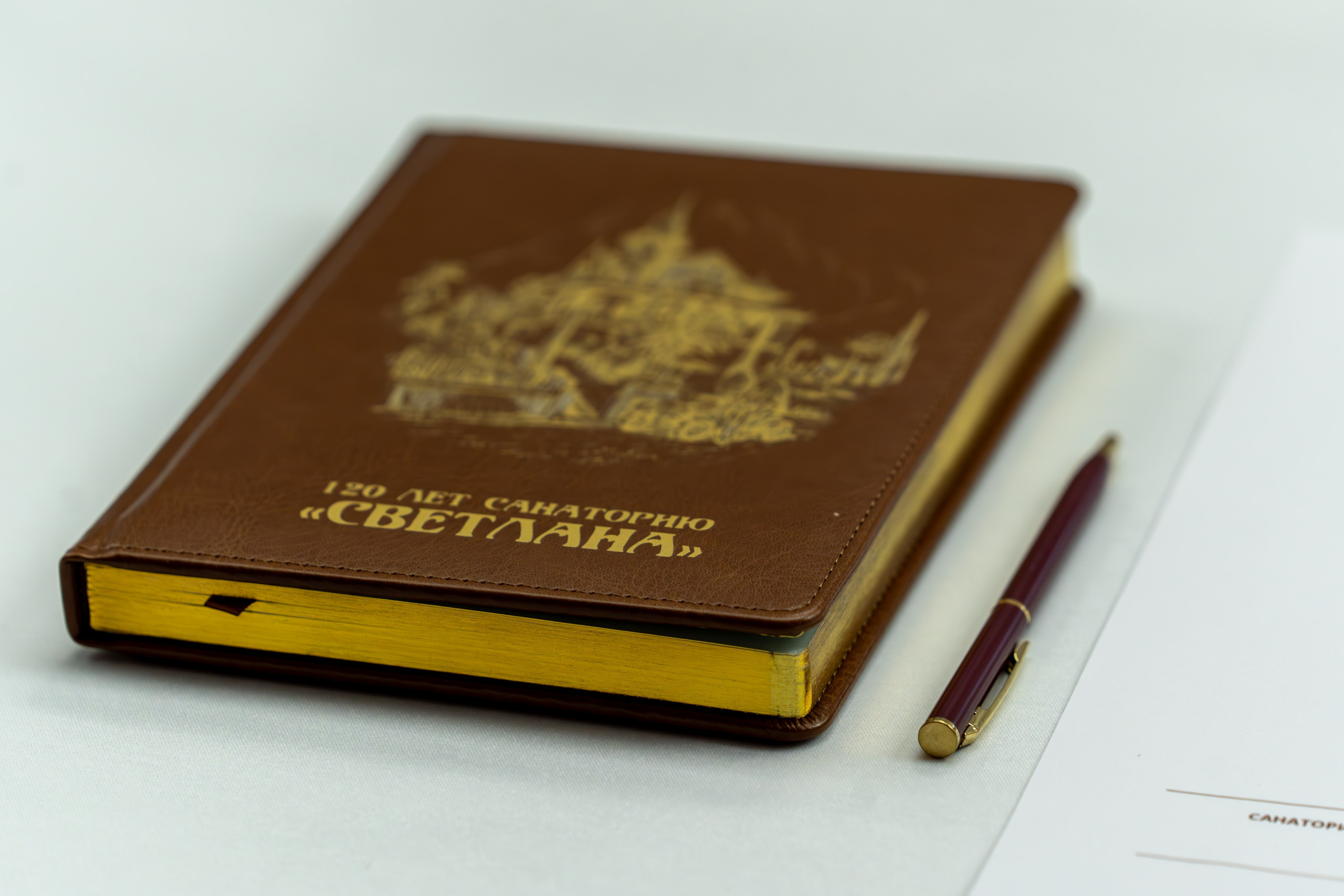 ЦСТЭ холдинг 2023. Репортажный фотограф в Красной Поляне и Сочи Павлюченко Екатерина