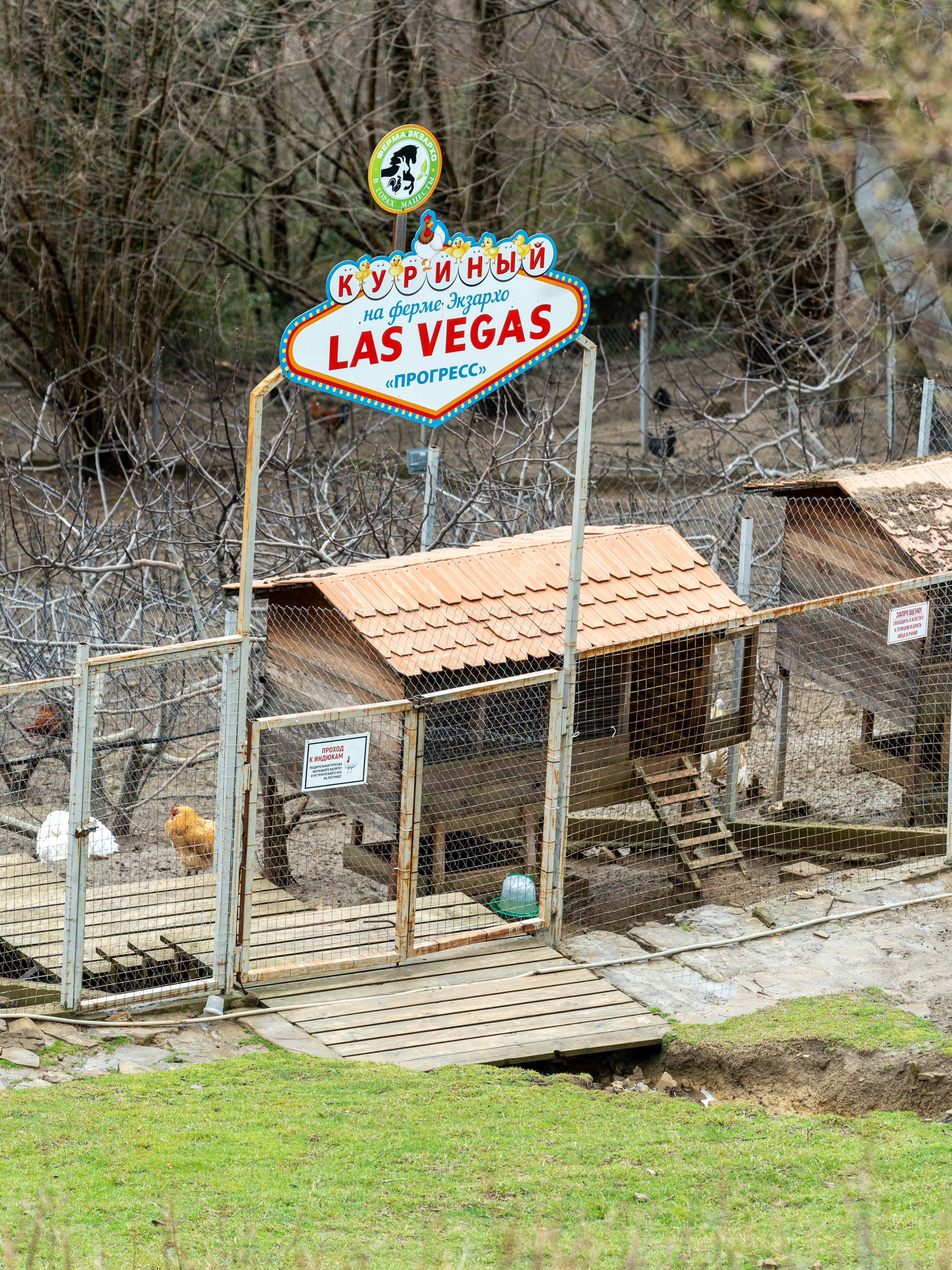 MICE мероприятие на ферме Экзархо. Репортажный фотограф в Красной Поляне и Сочи Павлюченко Екатерина