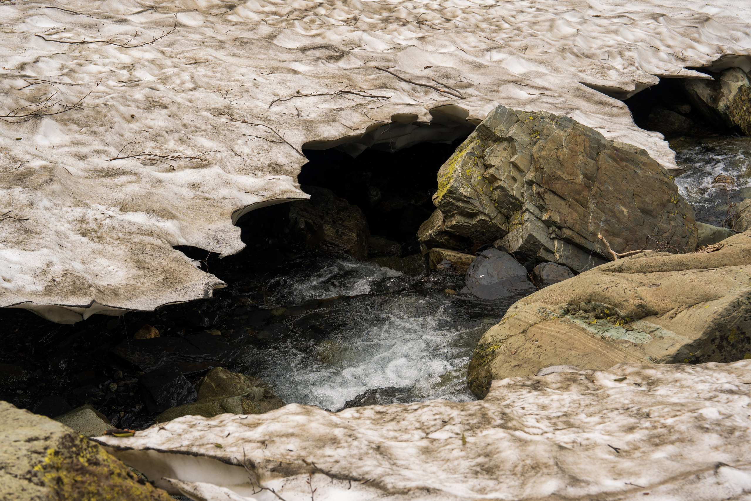 Путешествия и пейзаж. Репортажный фотограф в Красной Поляне и Сочи Павлюченко Екатерина